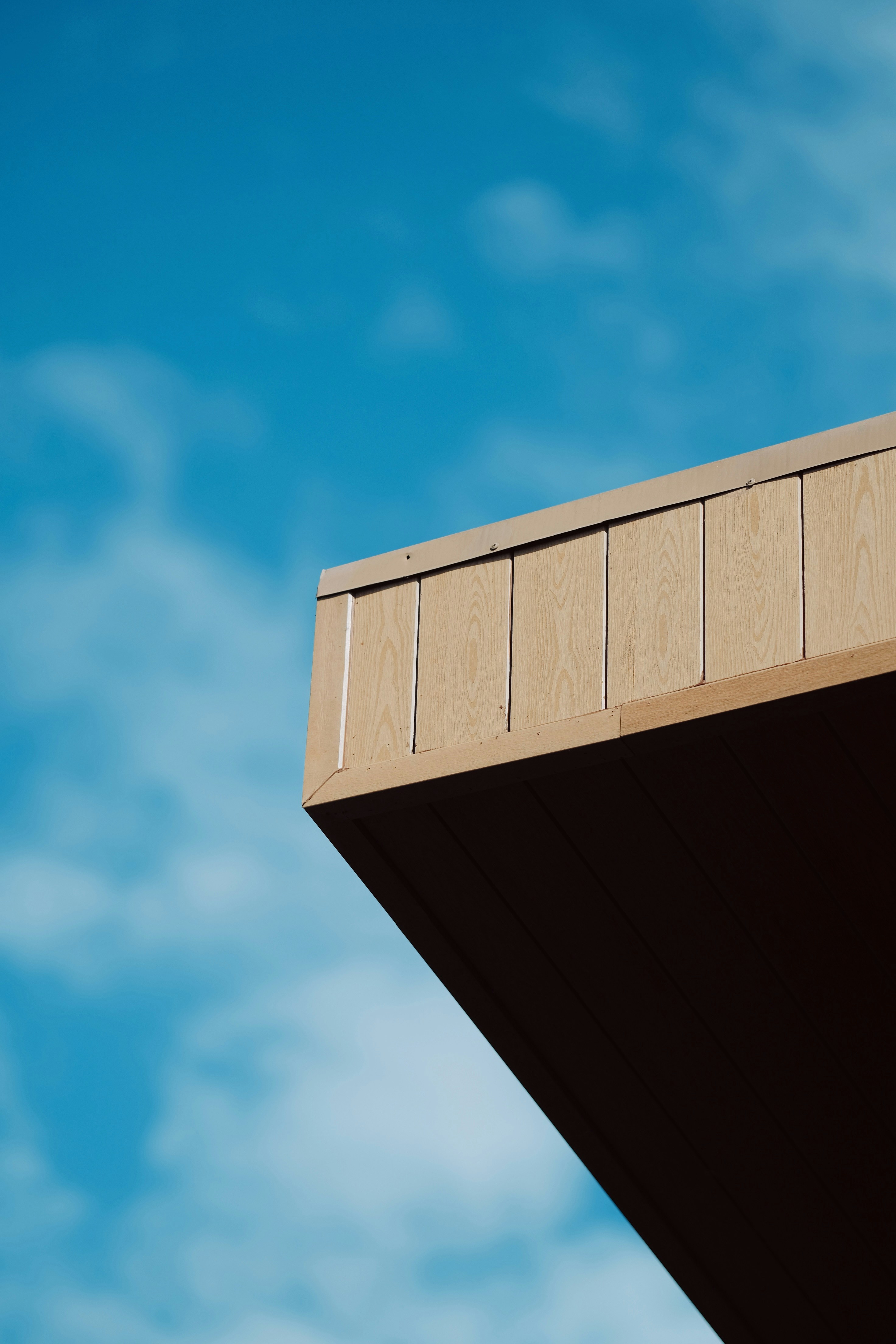 Photo by nguyentrungnguyen