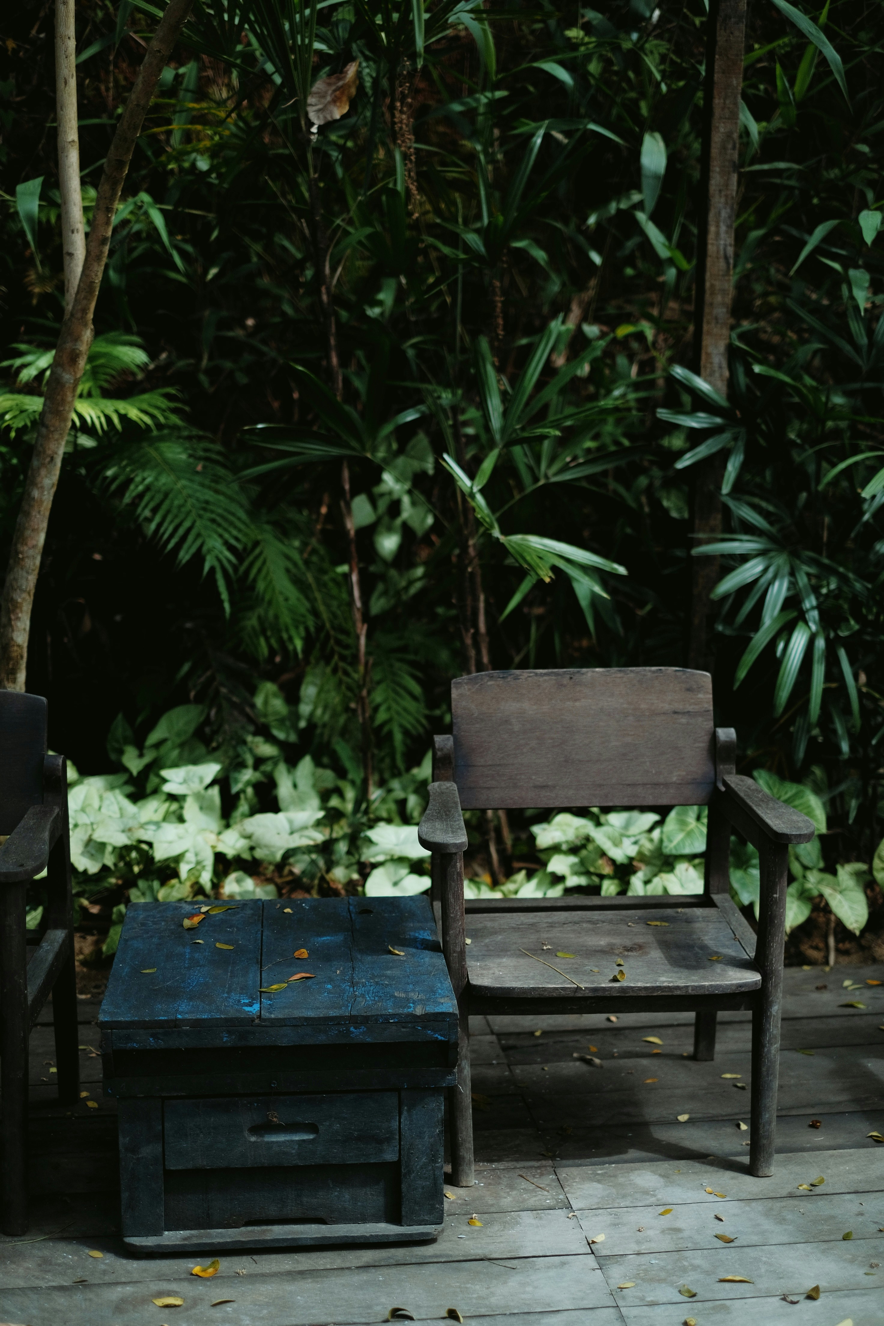 Photo by nguyentrungnguyen