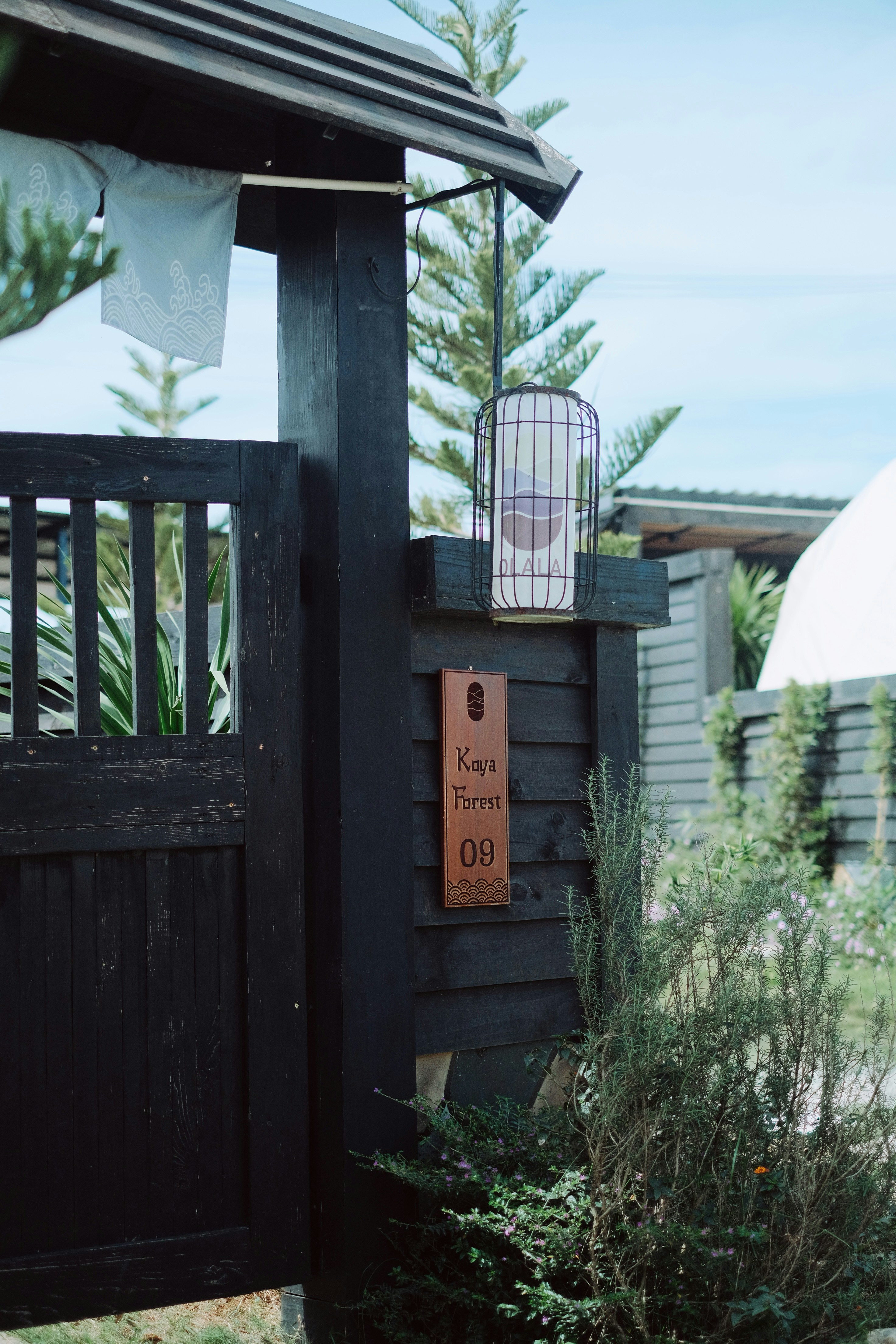 Photo by nguyentrungnguyen