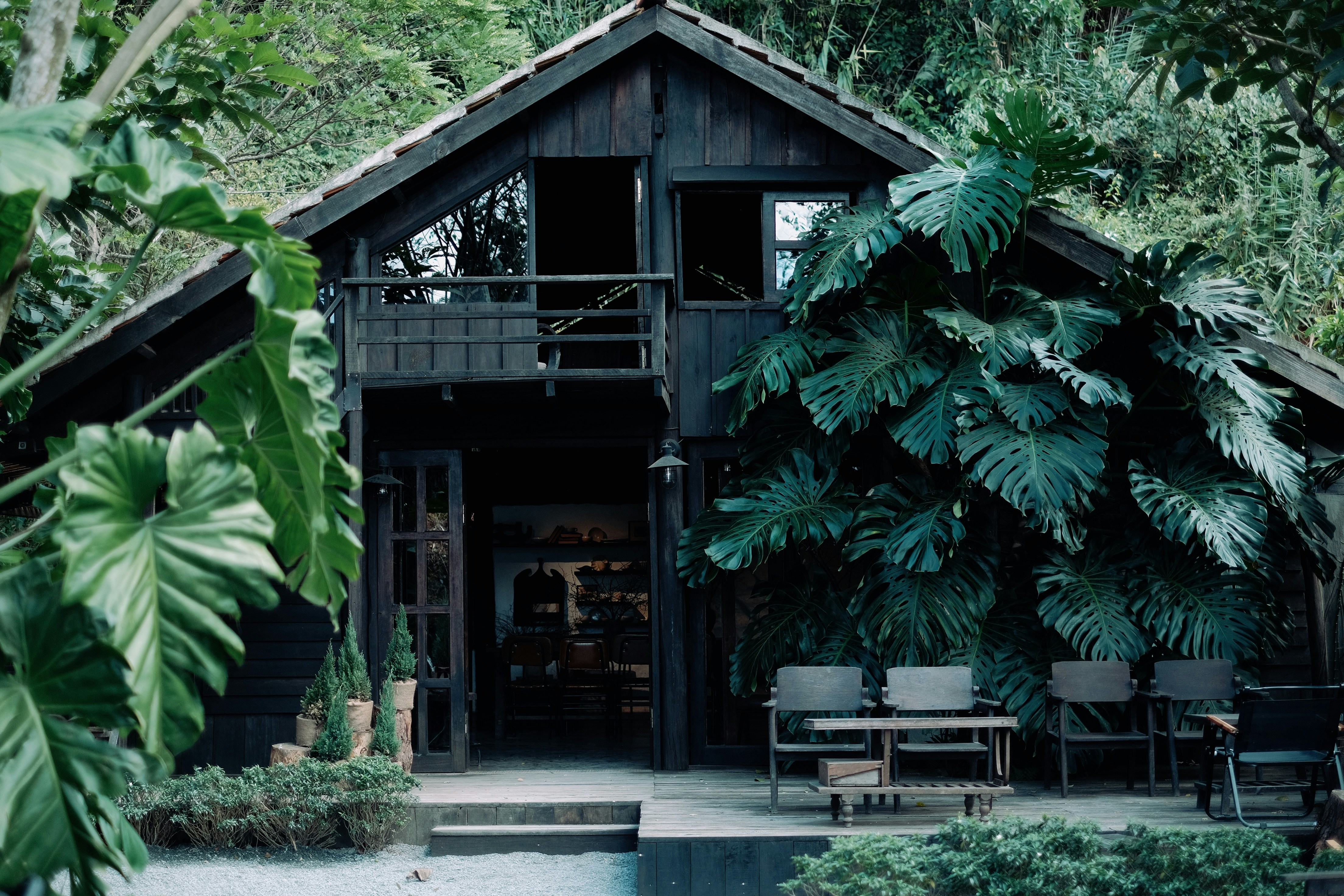 Photo by nguyentrungnguyen