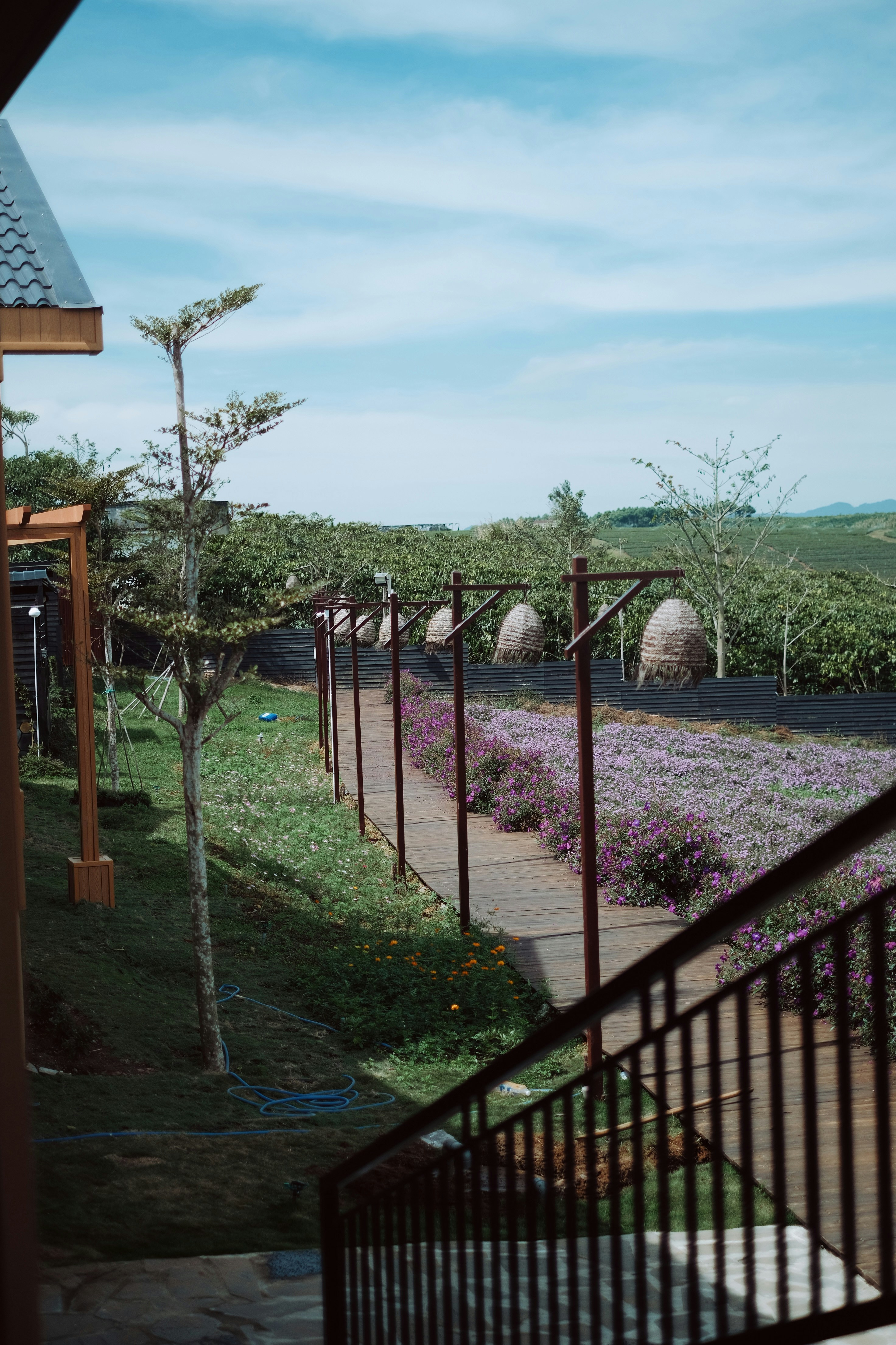 Composite fence surrounded by lush garden vegetation