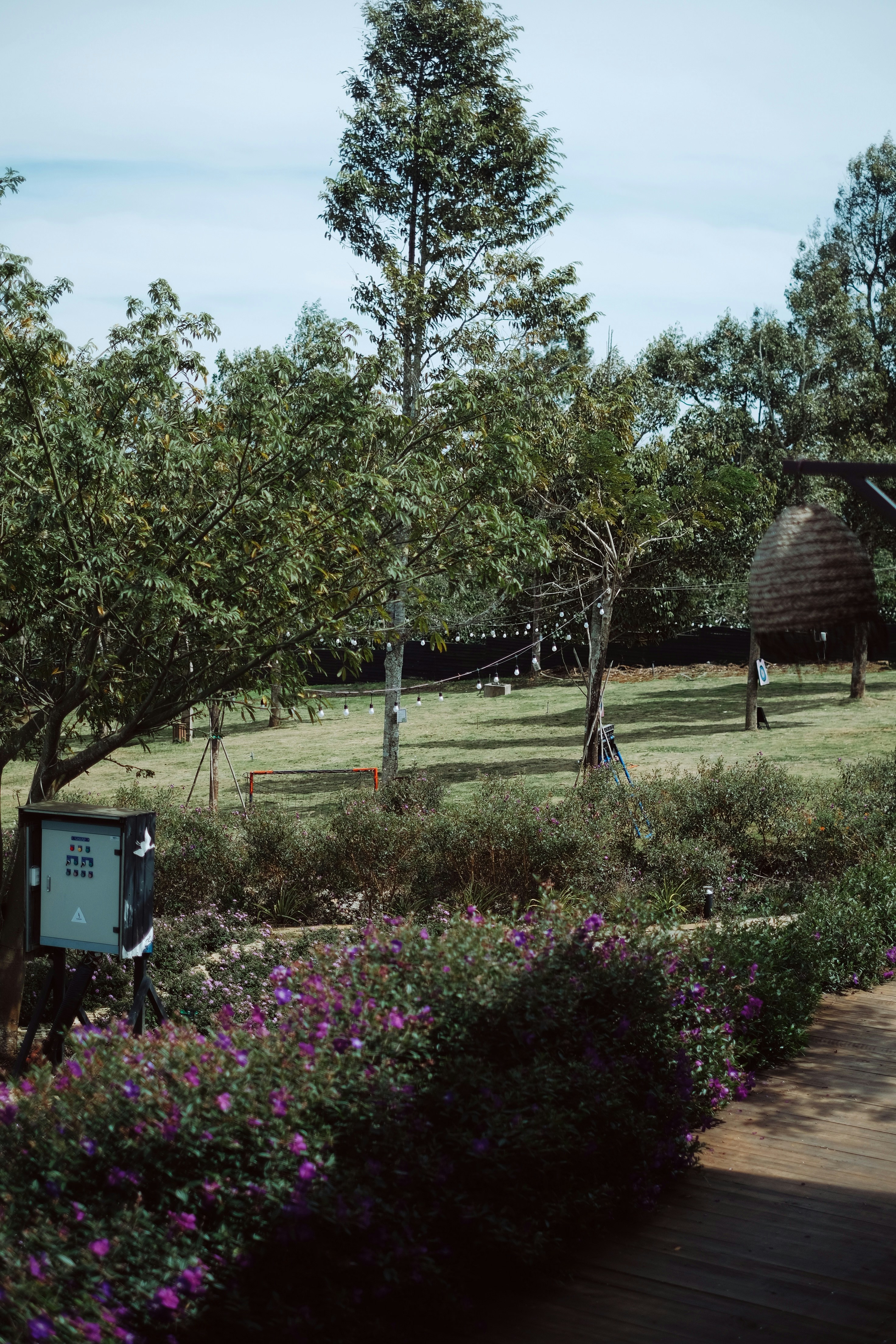 Photo by nguyentrungnguyen