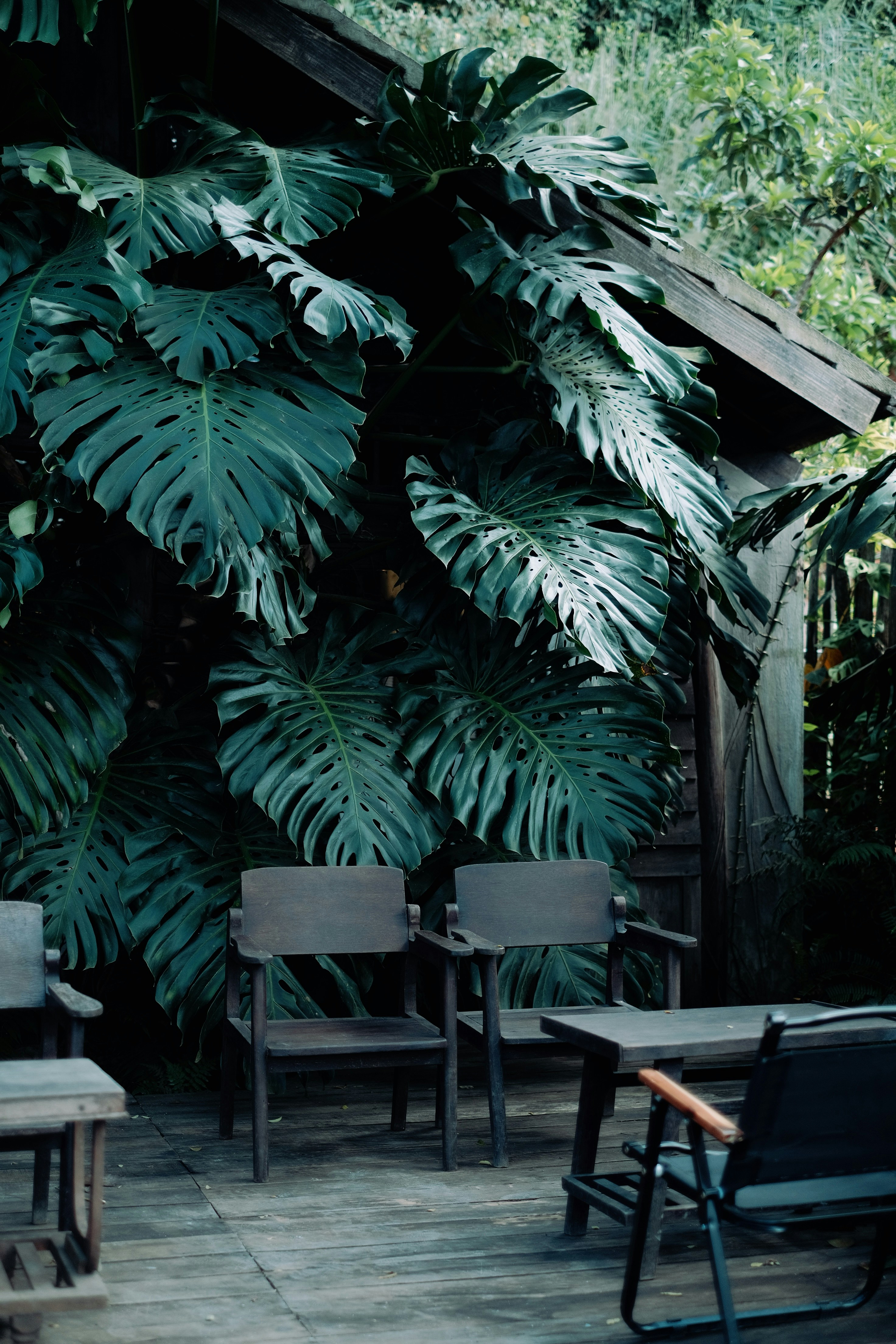 Photo by nguyentrungnguyen