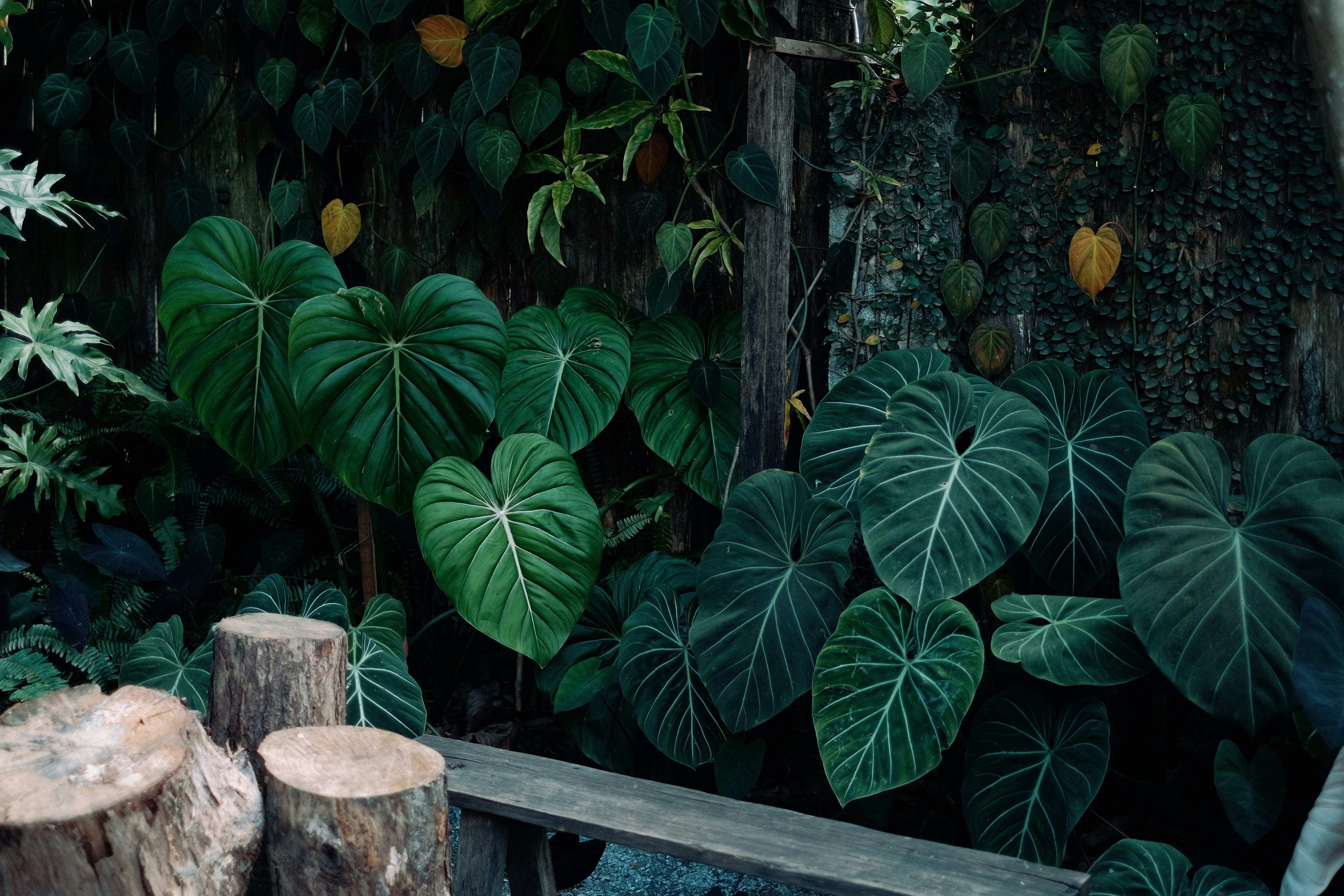 Photo by nguyentrungnguyen