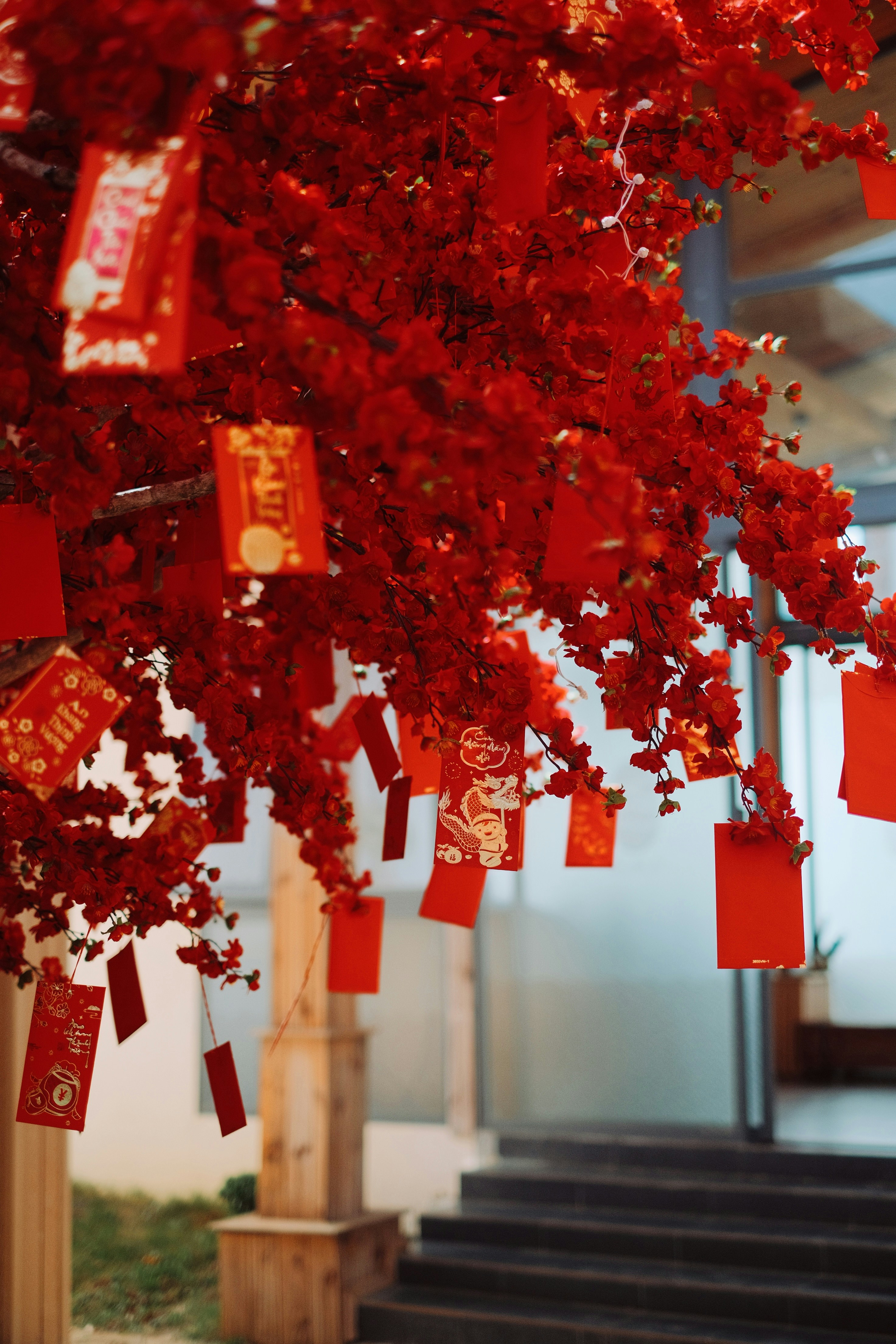 Photo by nguyentrungnguyen