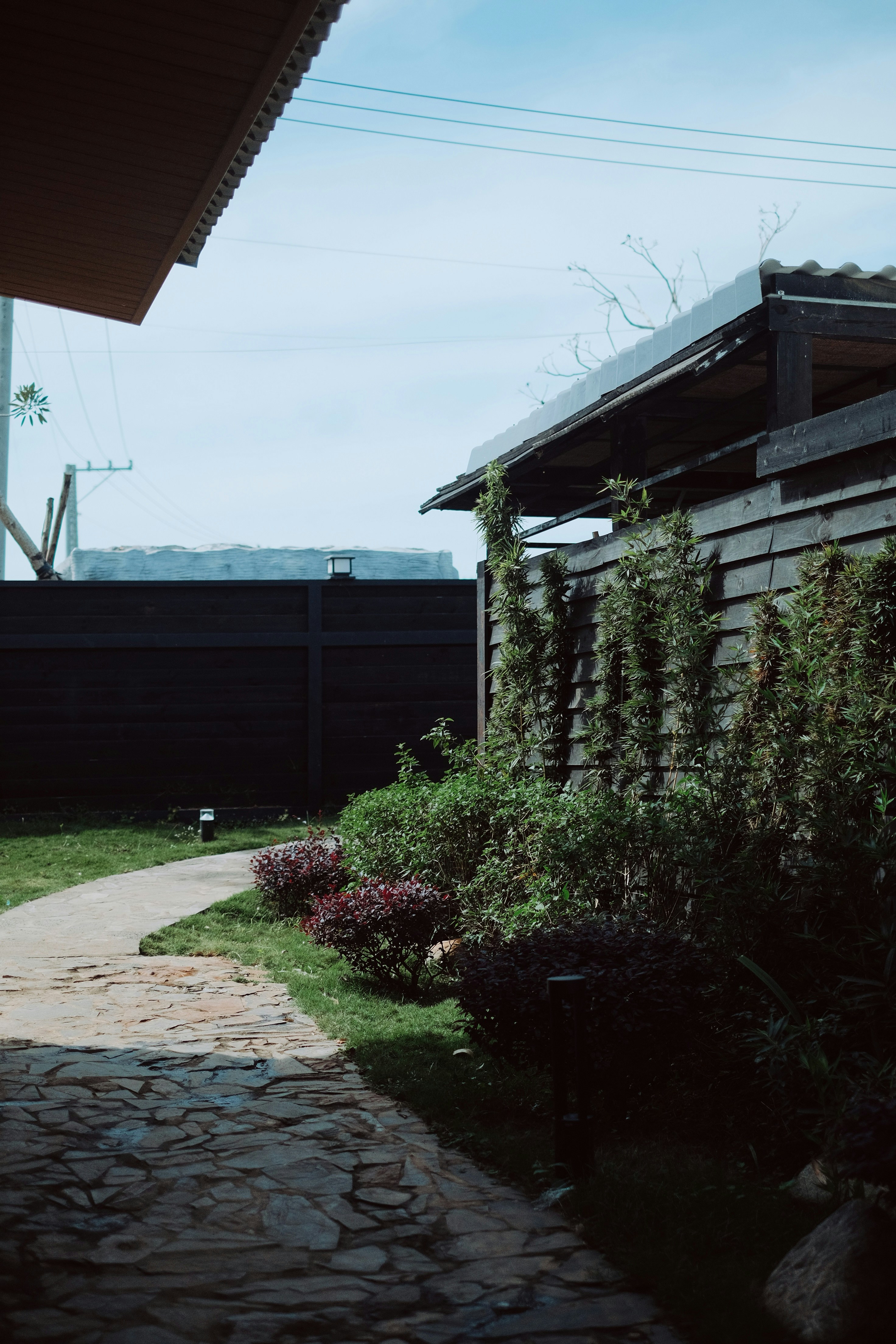 Photo by nguyentrungnguyen