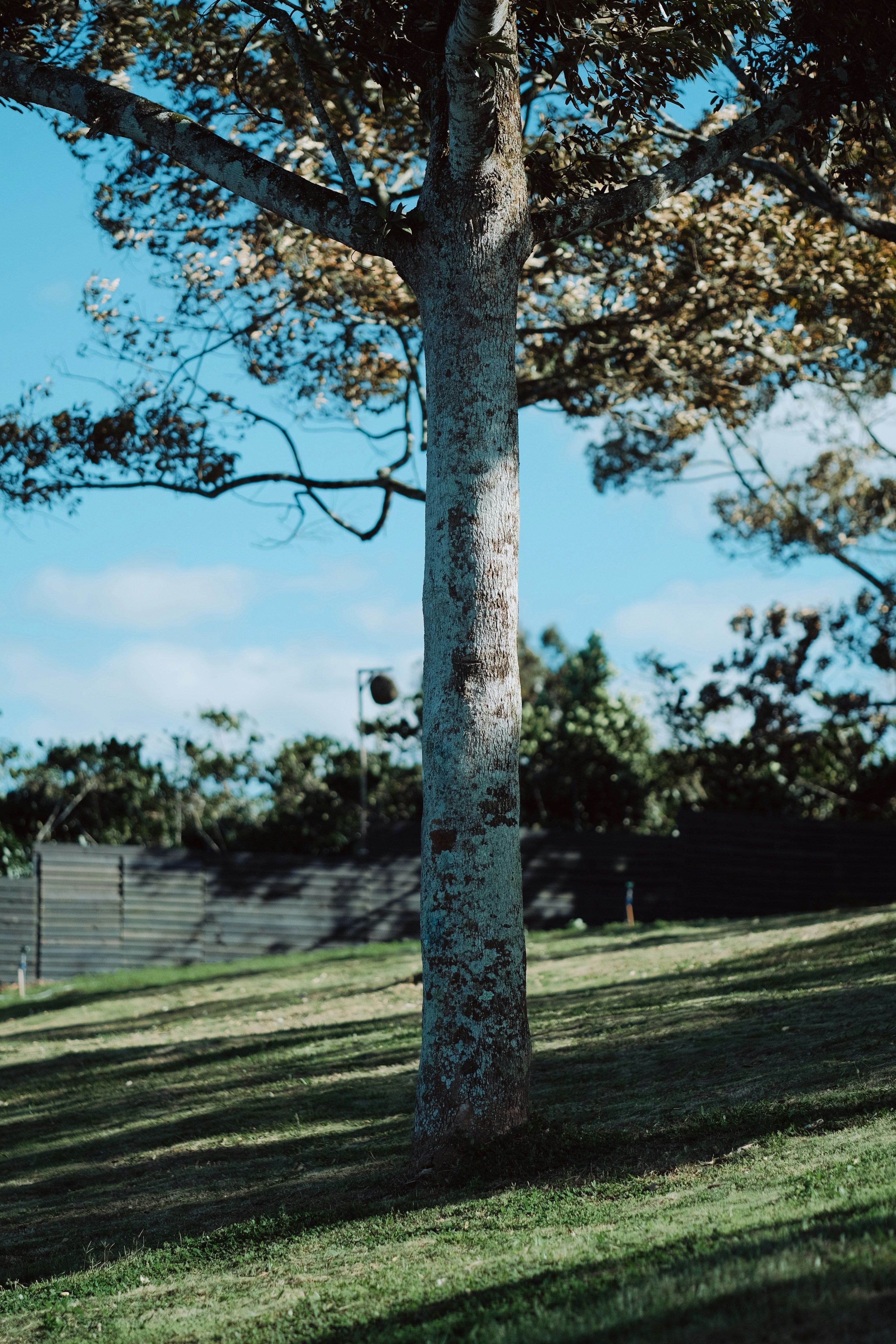 Photo by nguyentrungnguyen