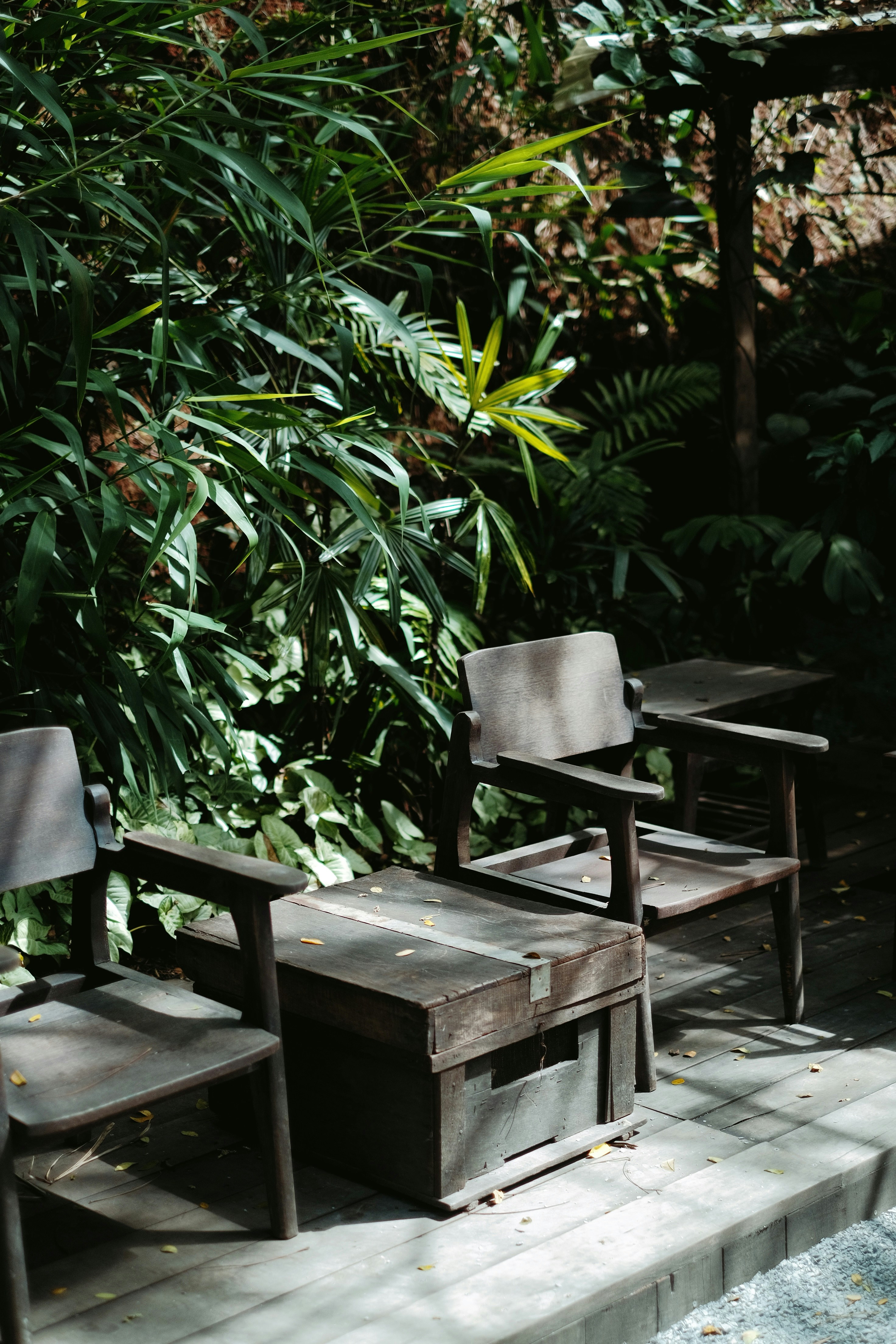 Photo by nguyentrungnguyen