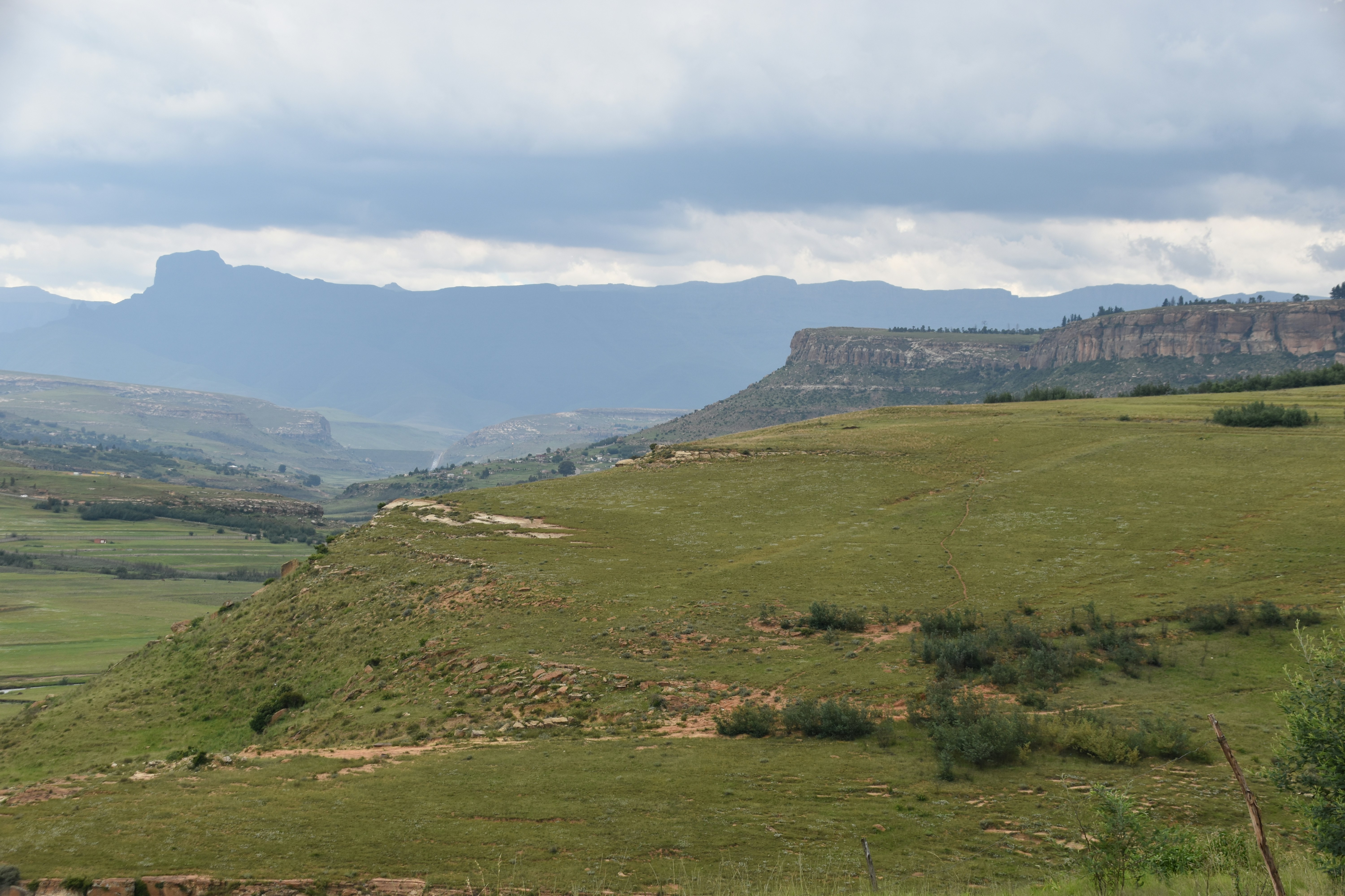 When science overreaches: Conservation needs ethics, not just ecology and economics