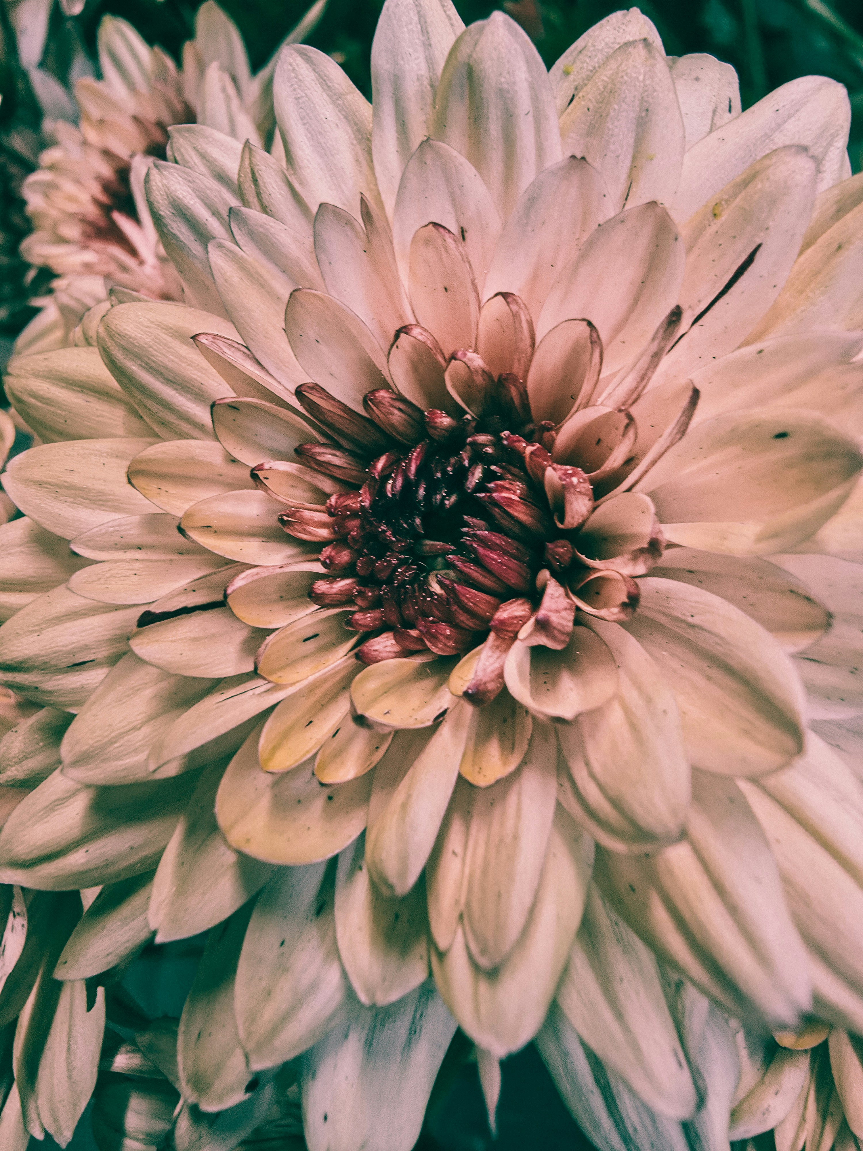 Photo by aralsadeeq