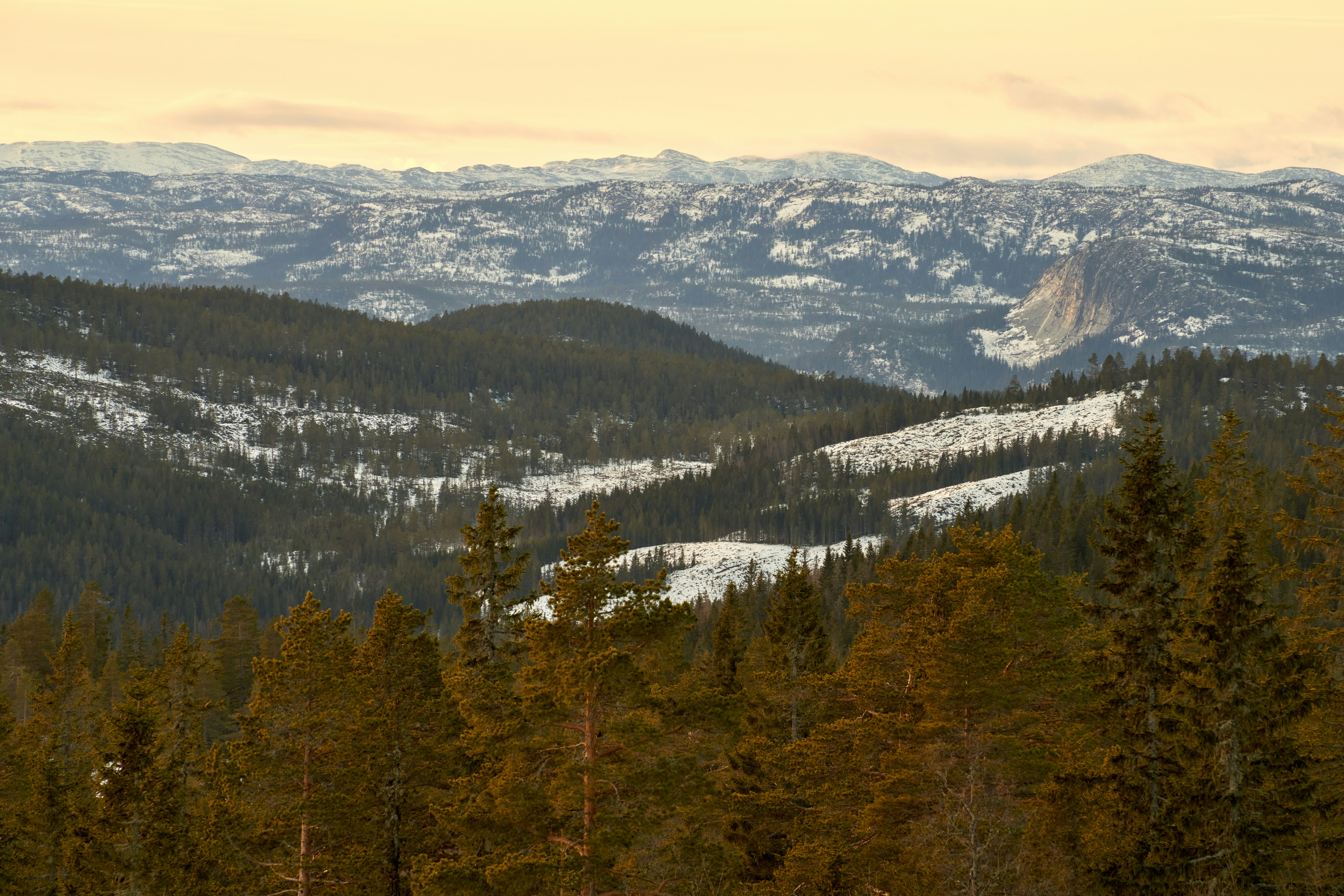 Photo by davotibarna