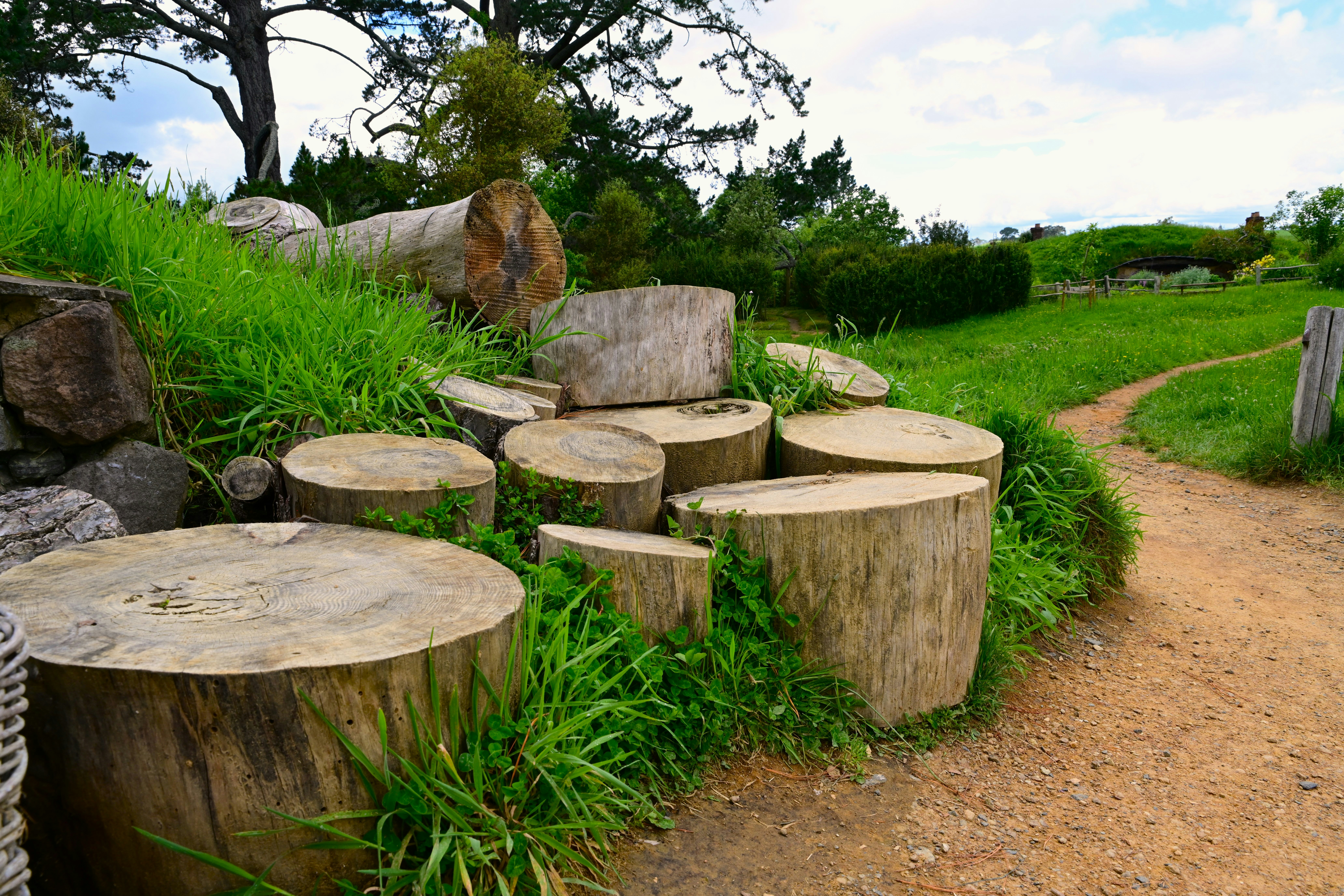 Photo by samuelprevin