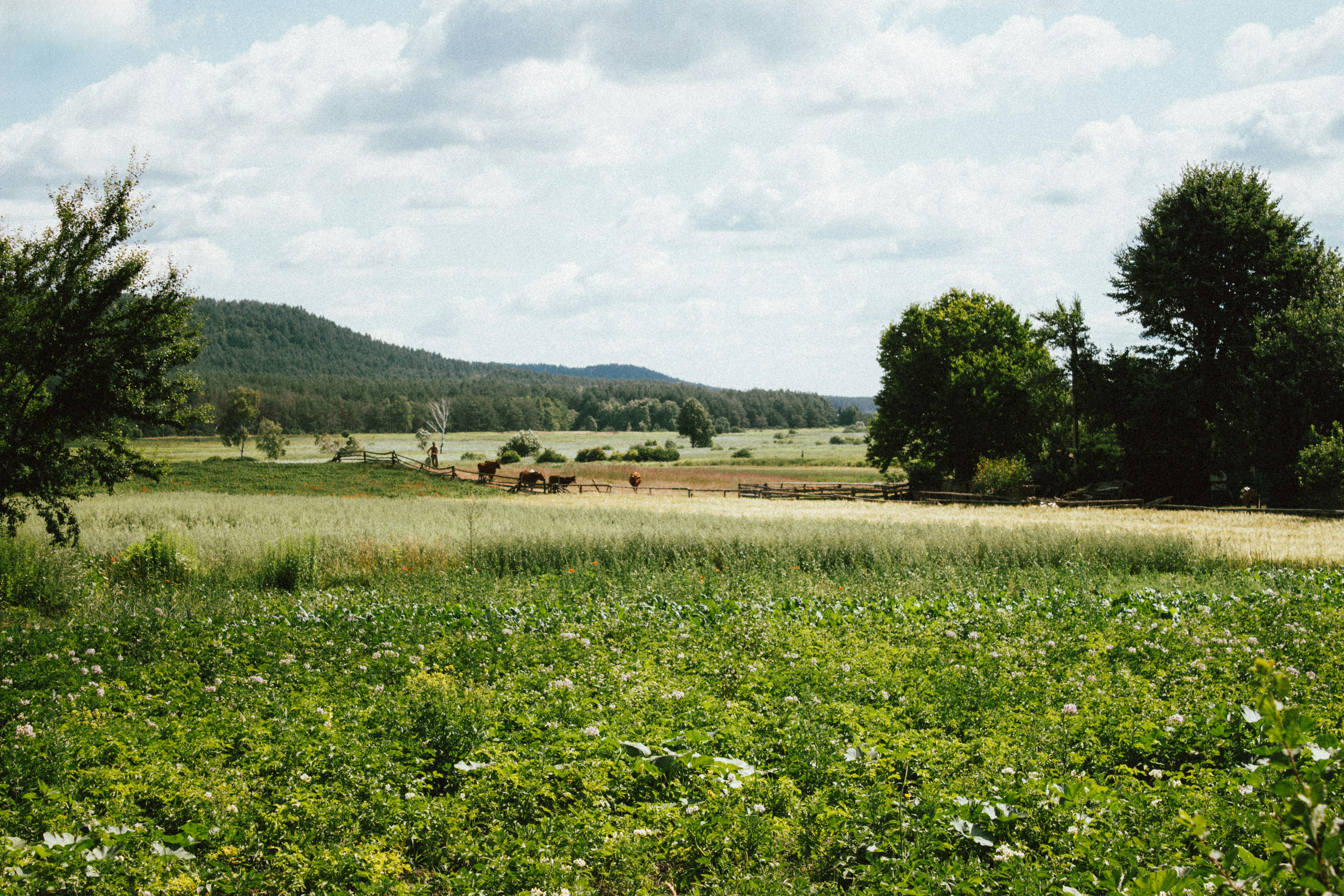 Photo by viktorsmoliak