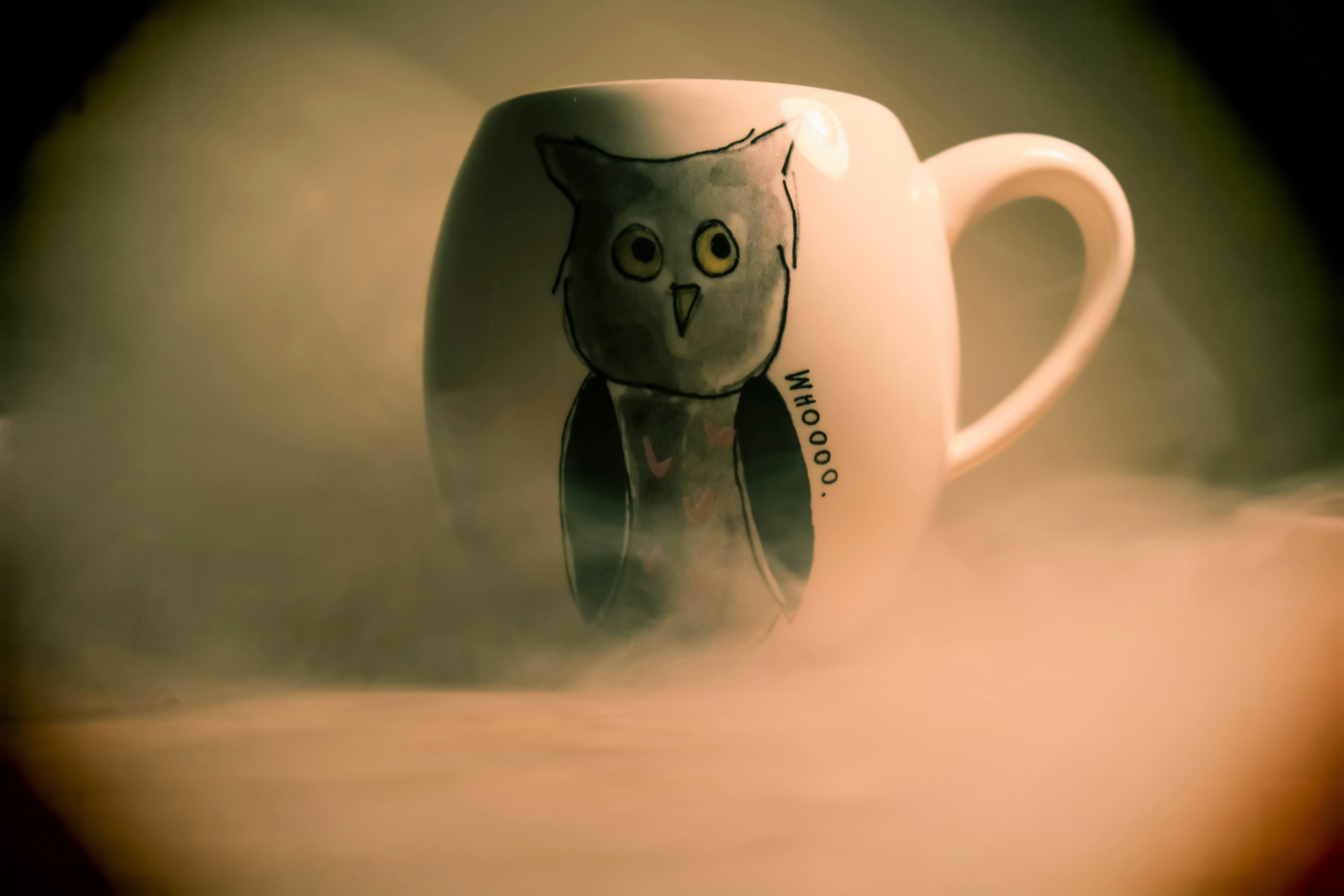 Lublin – Nightlife & Evening Culture