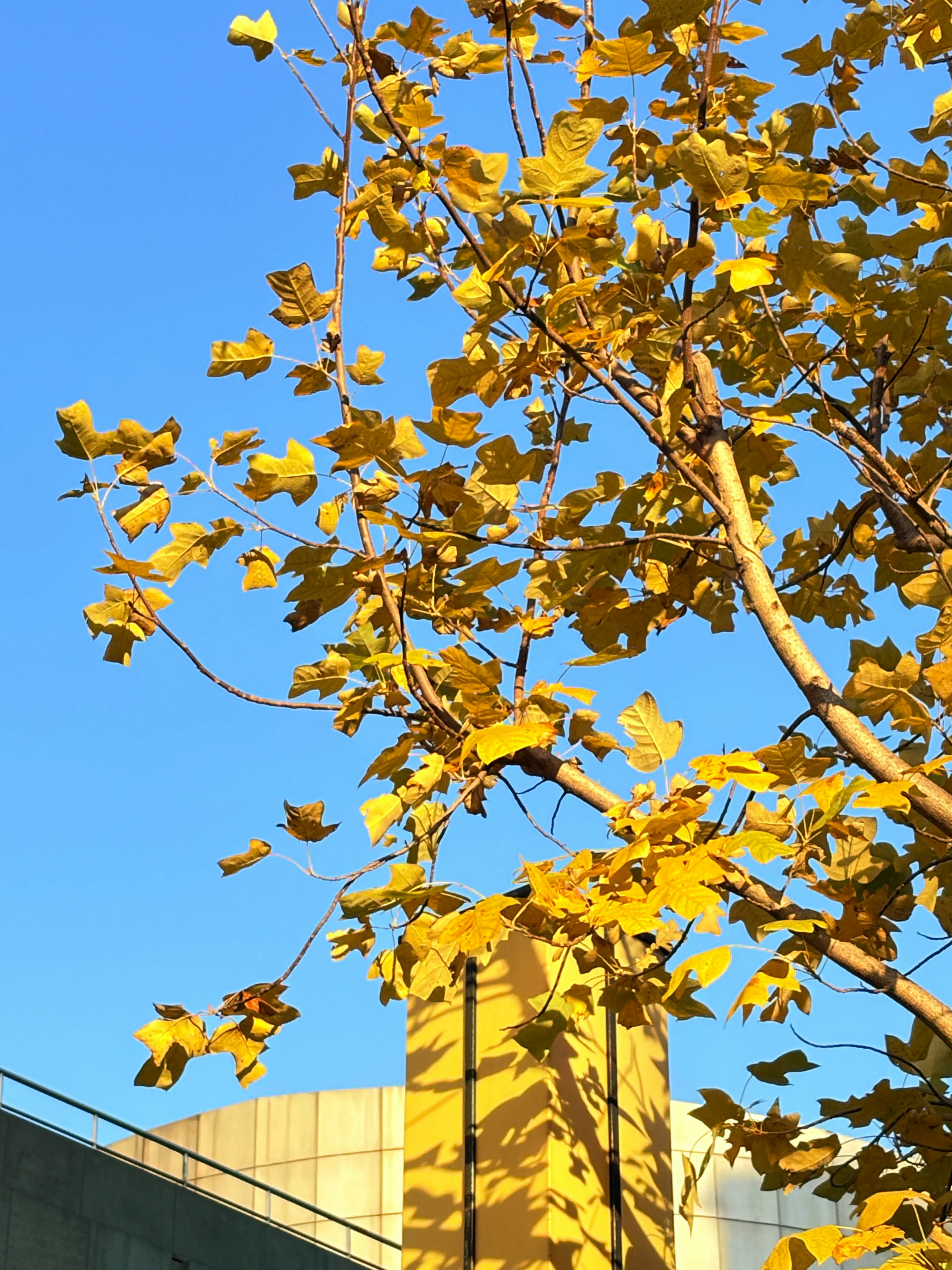 Photo by maro_of_sengu