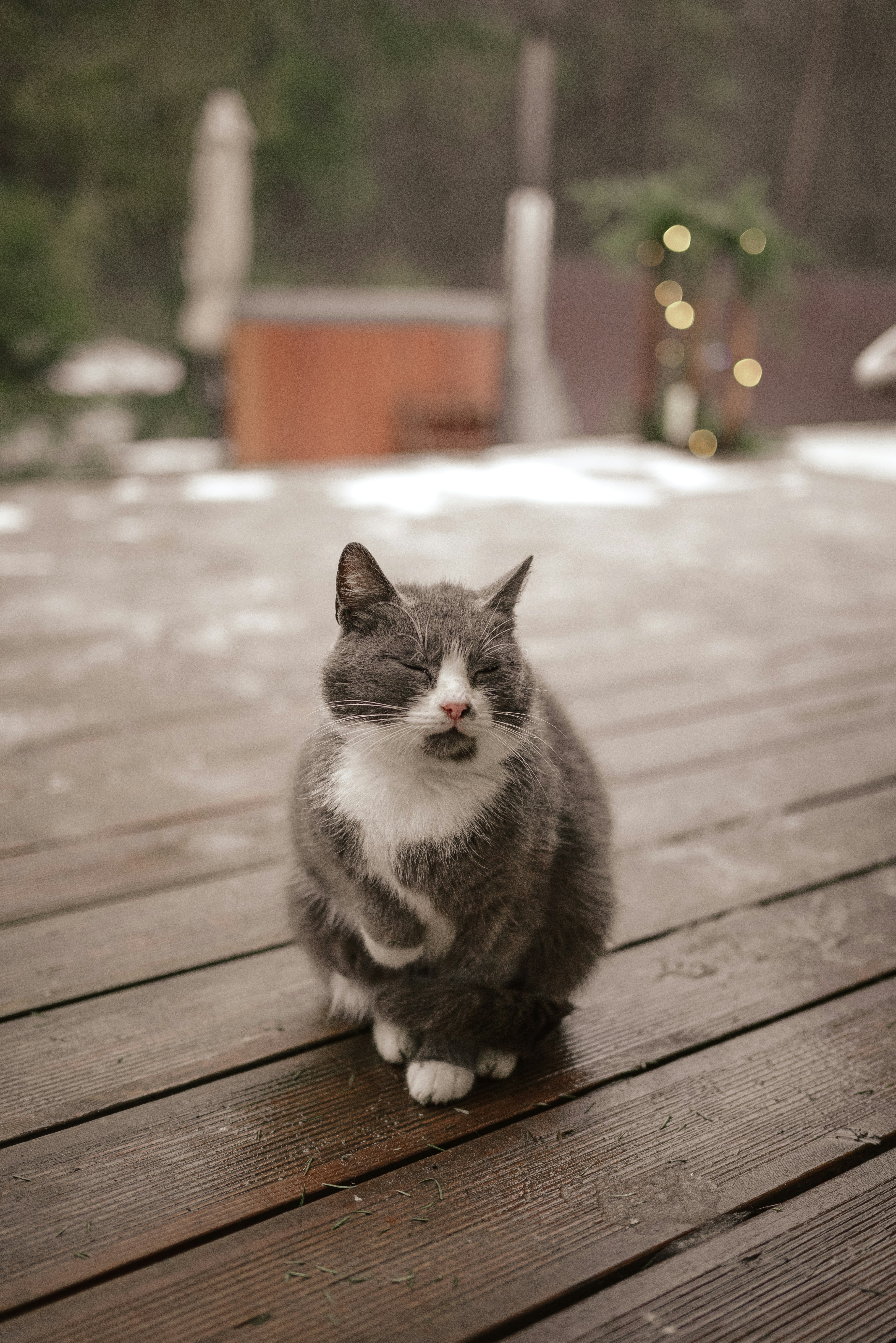 Joining You Outdoors (image credits: unsplash)