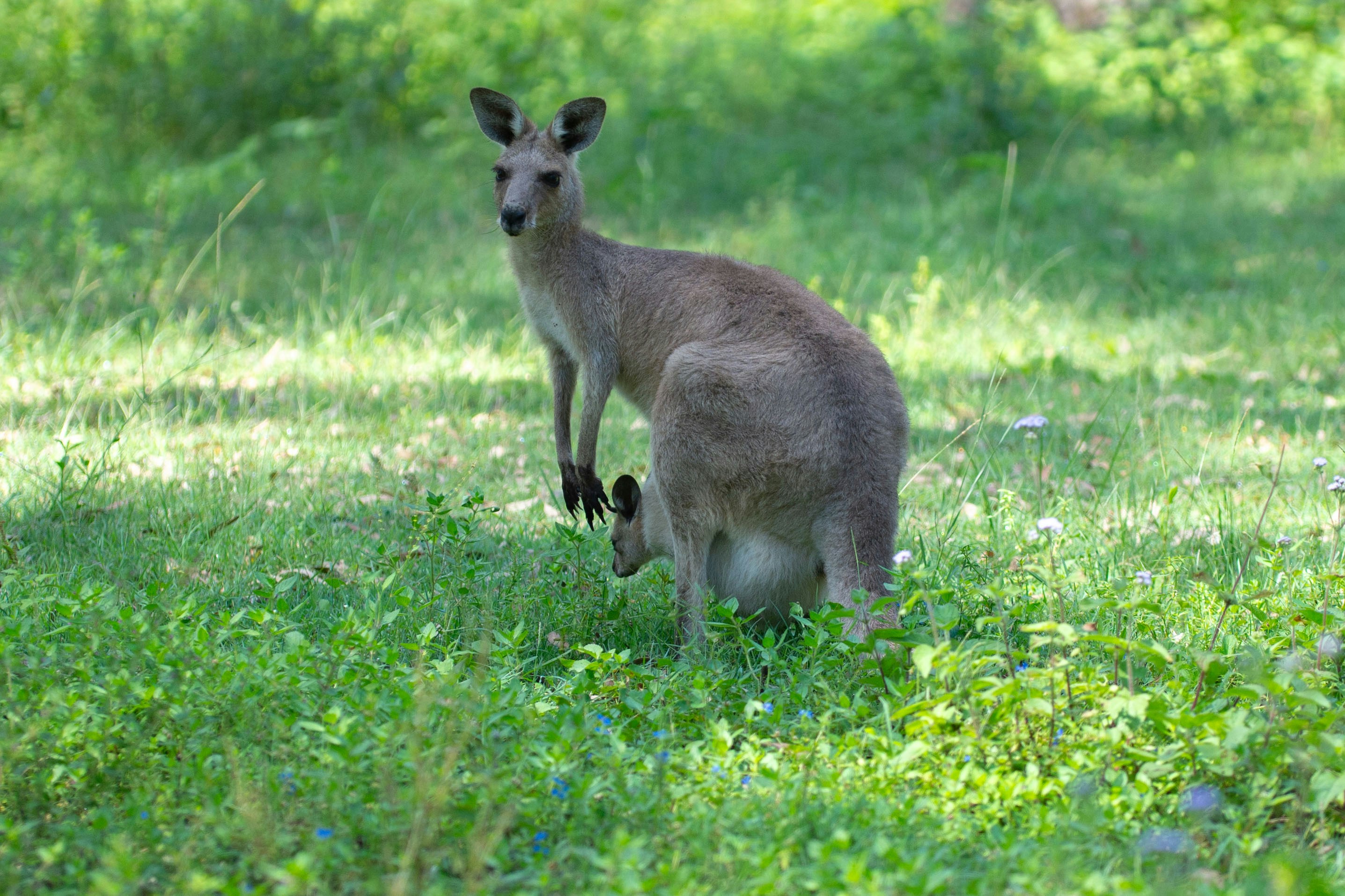 Photo by matyphotography01