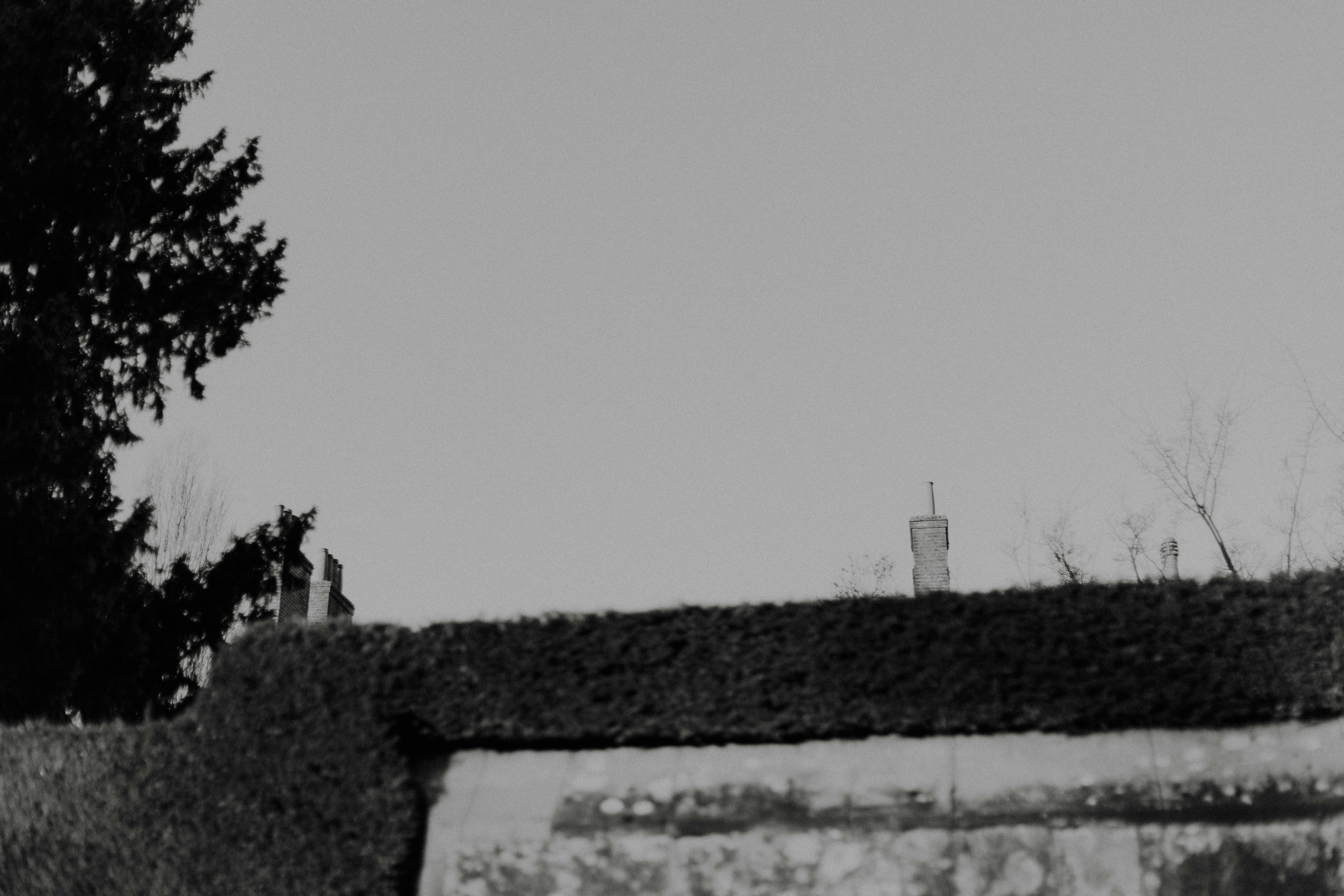 역사적 배경 이미지