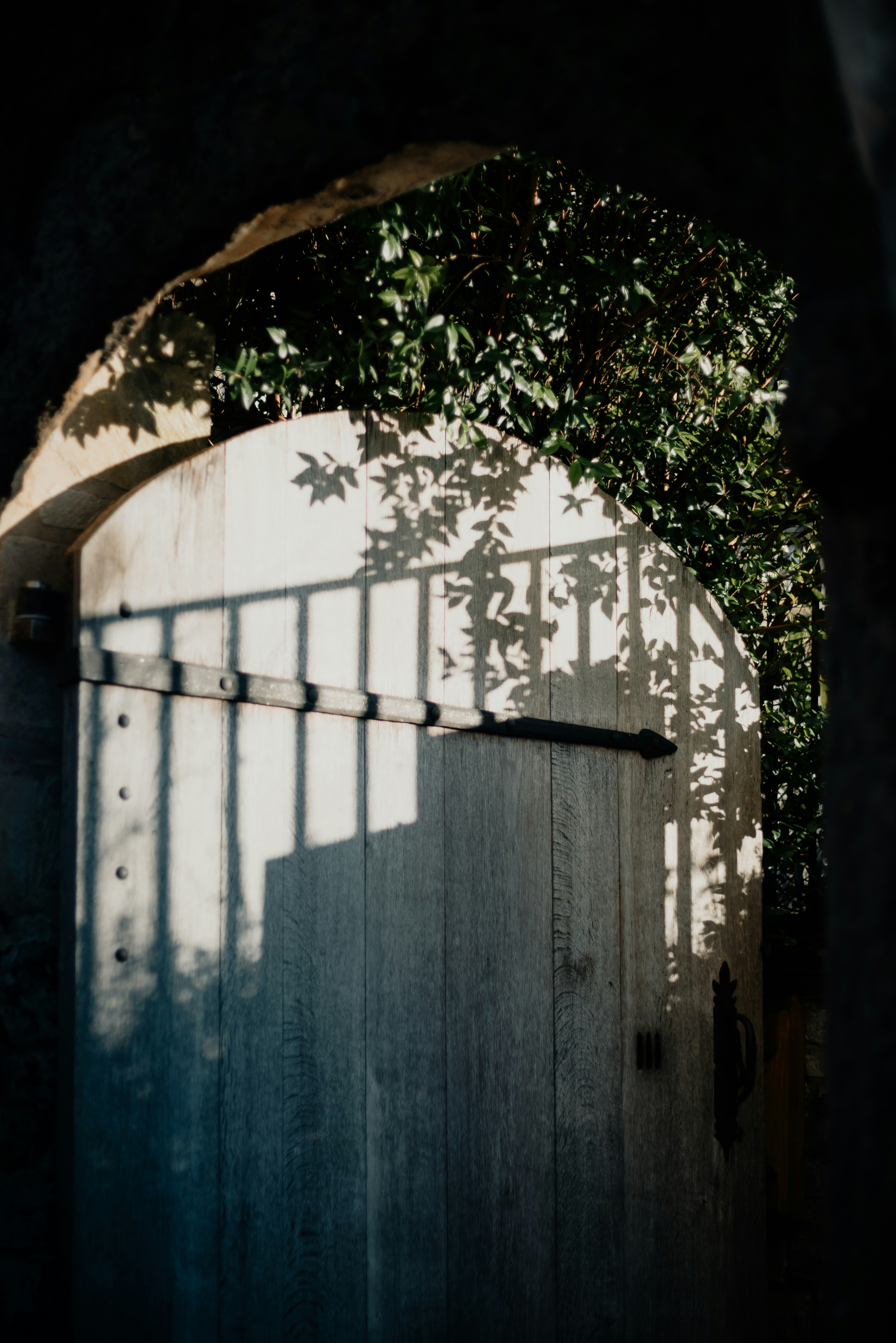 Photo by anniespratt