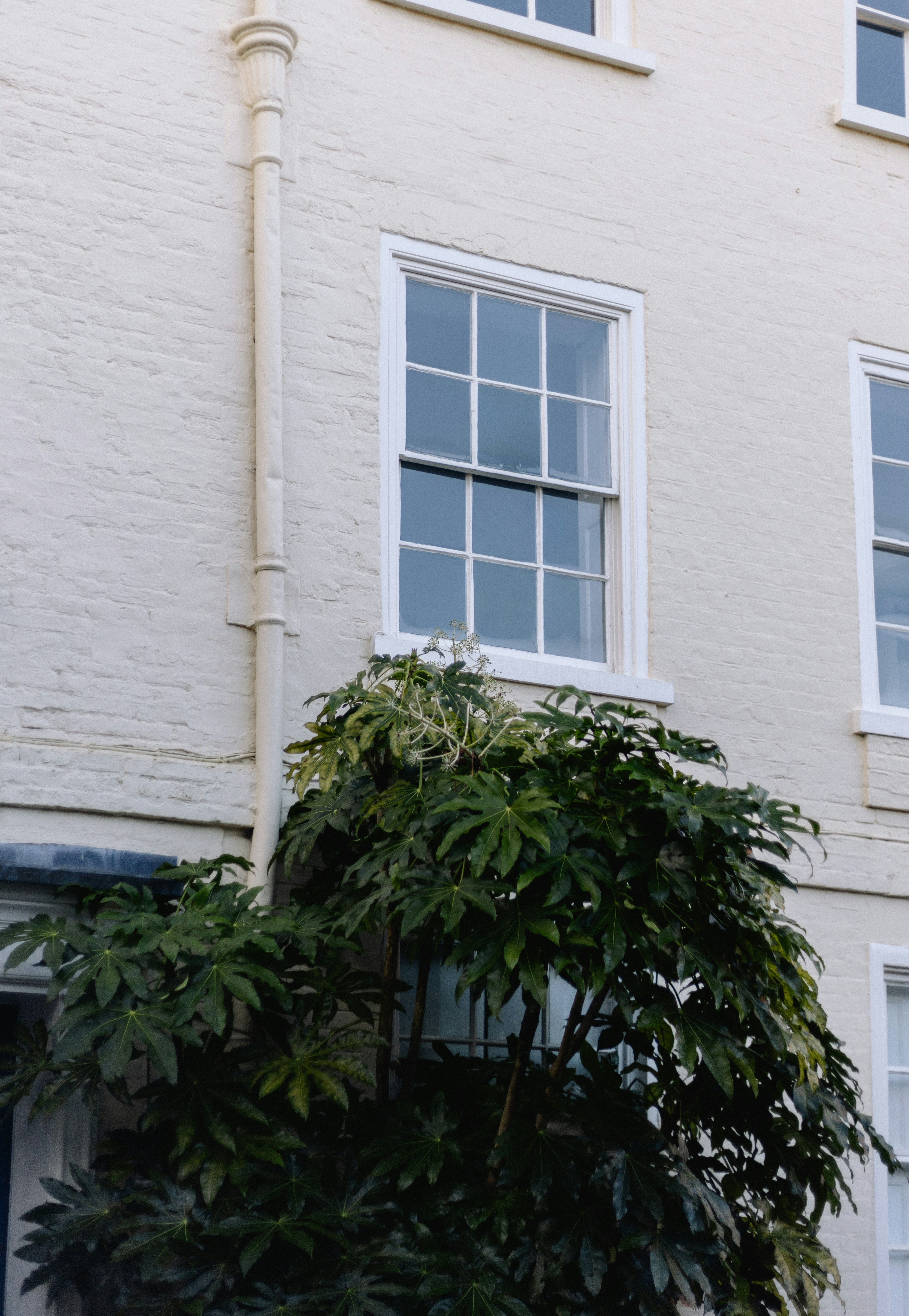 Guest House - view 1