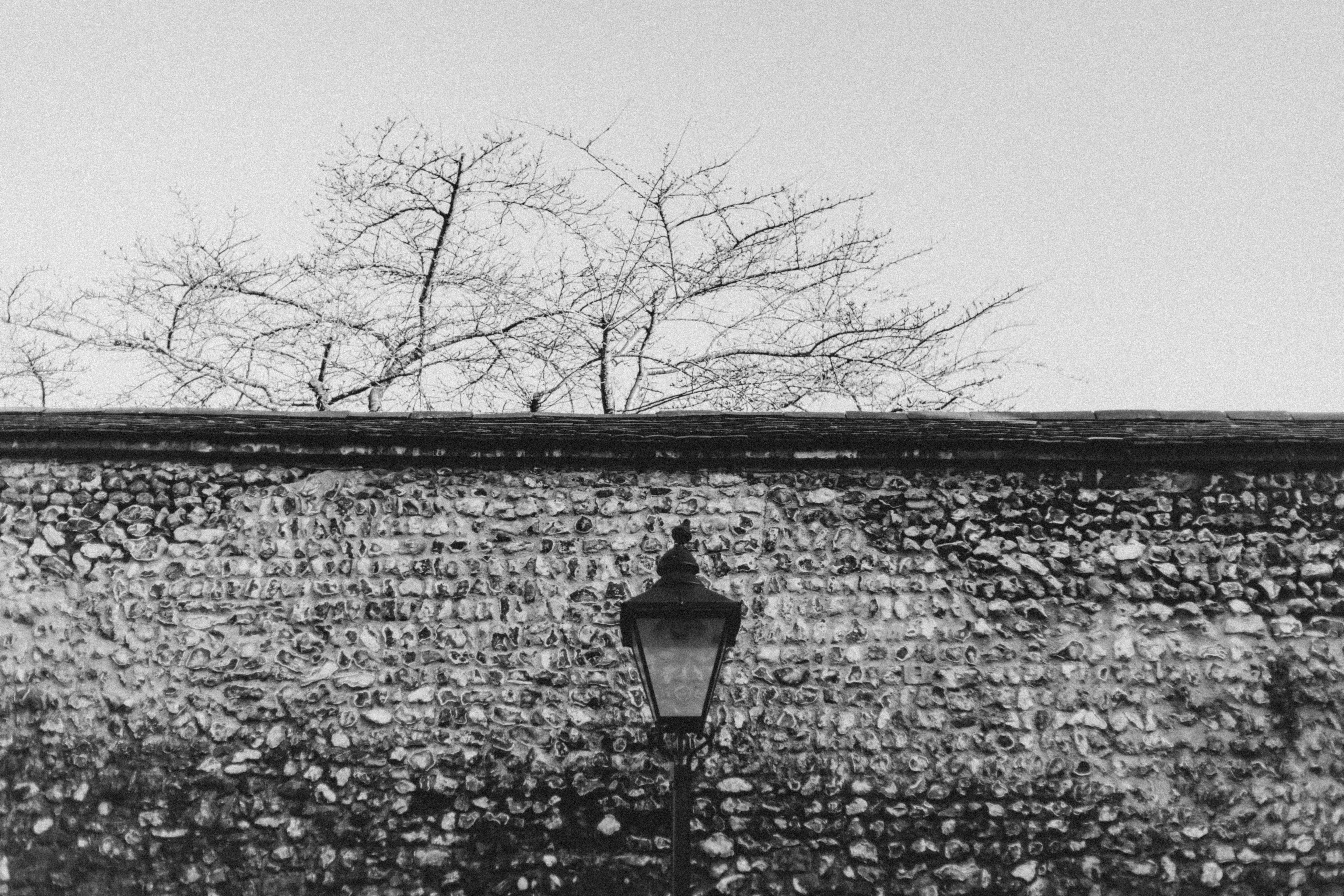 Photo by anniespratt