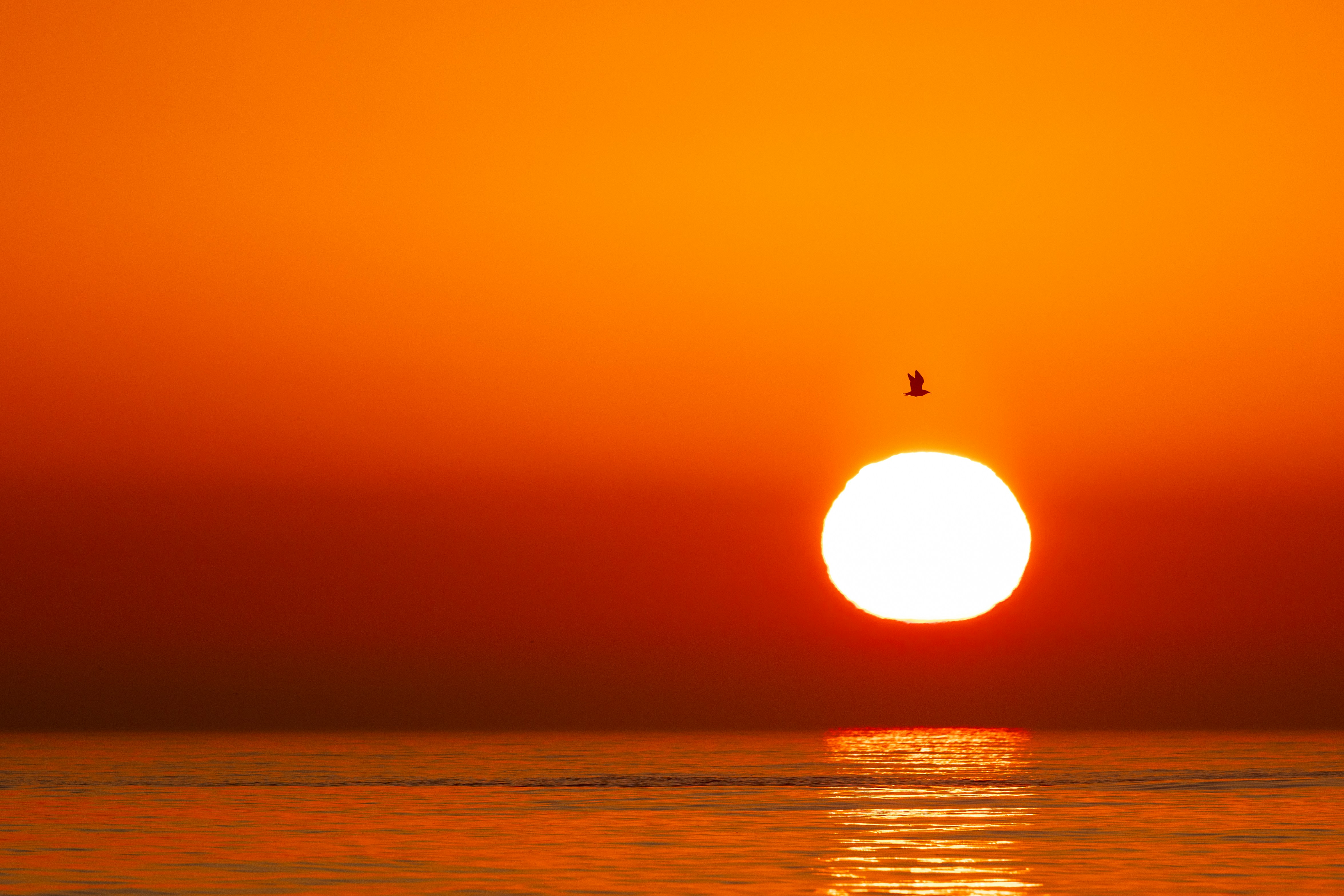 The sun is setting over a body of water