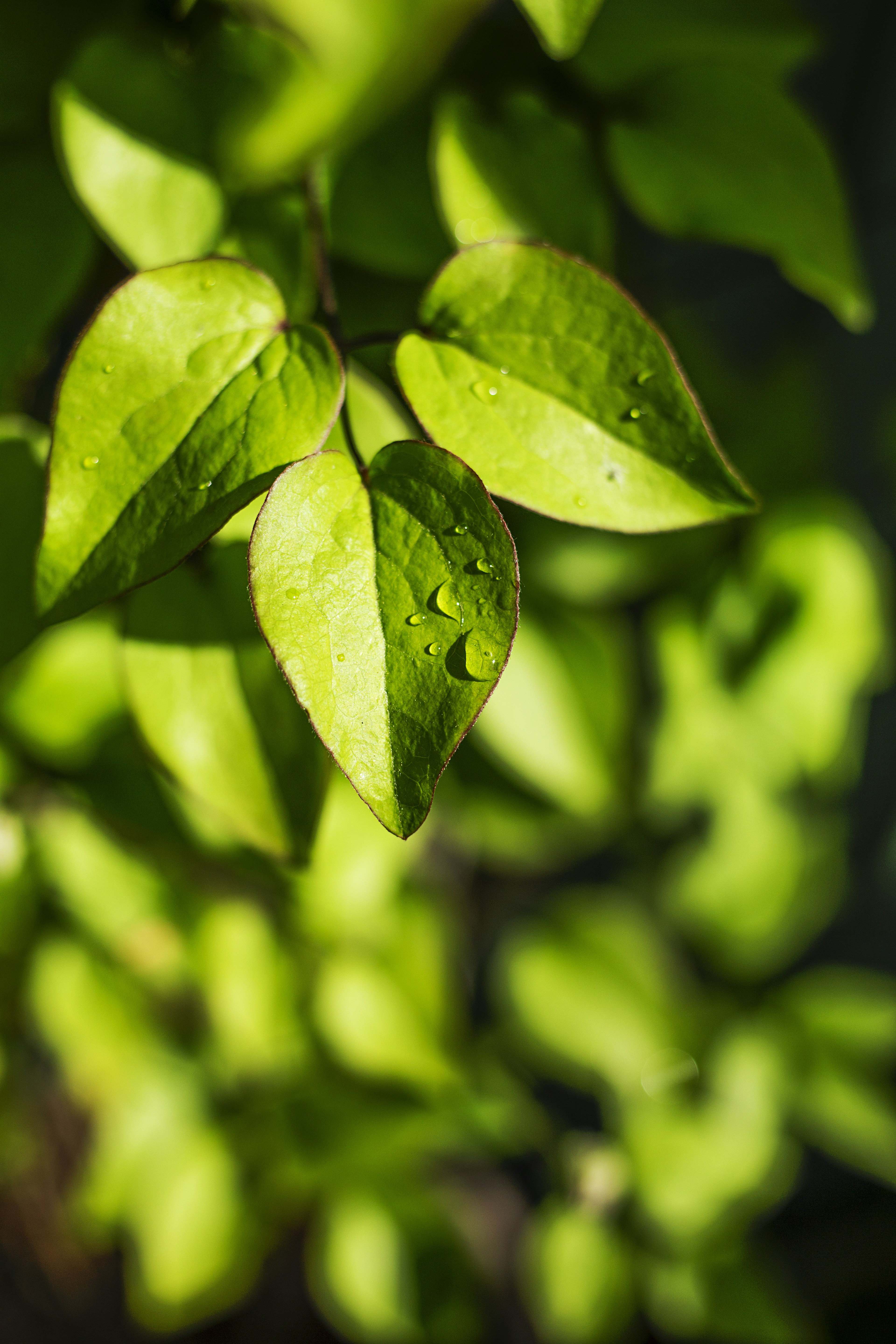 Photo by luke_photography