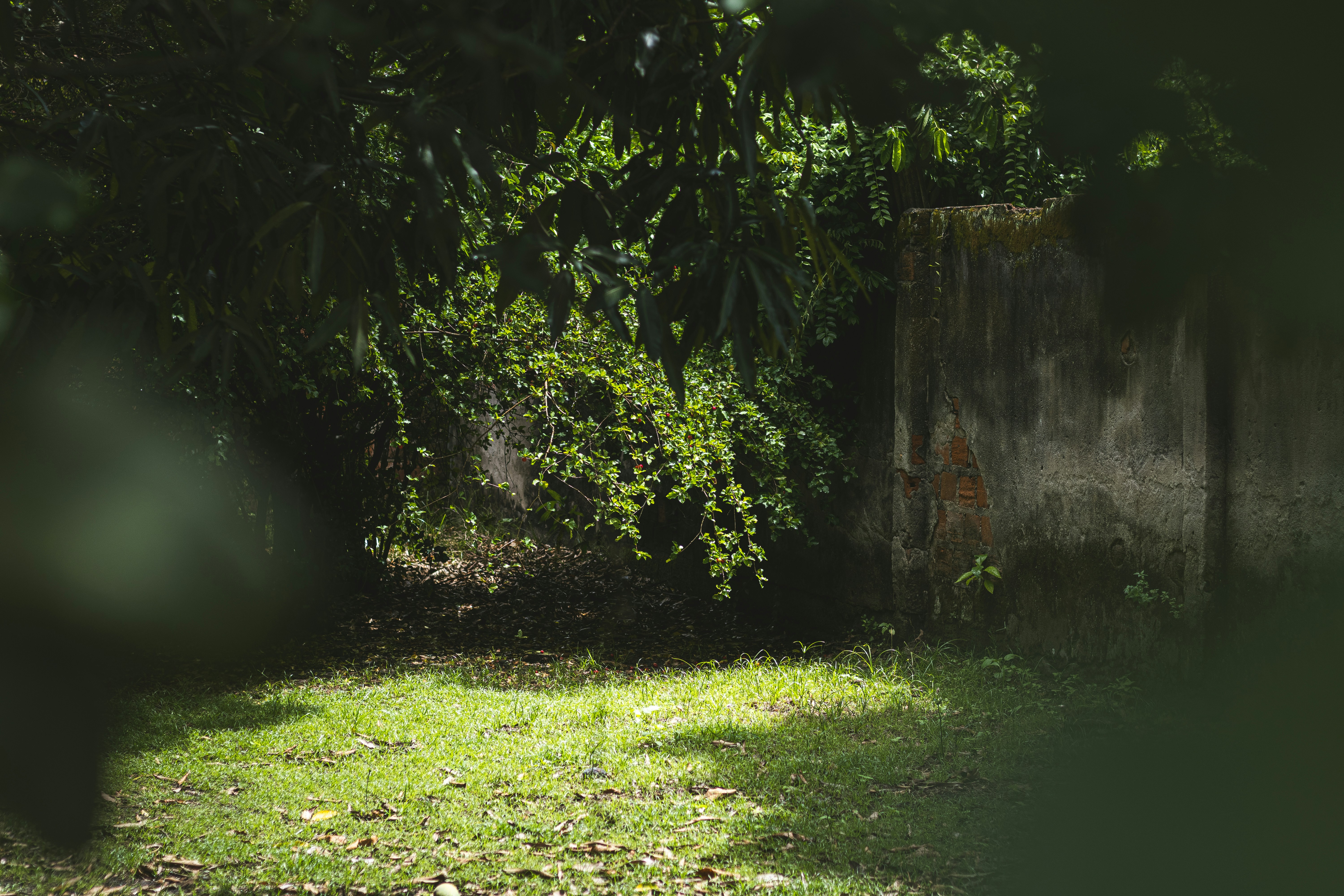 Photo by omarcelandrade