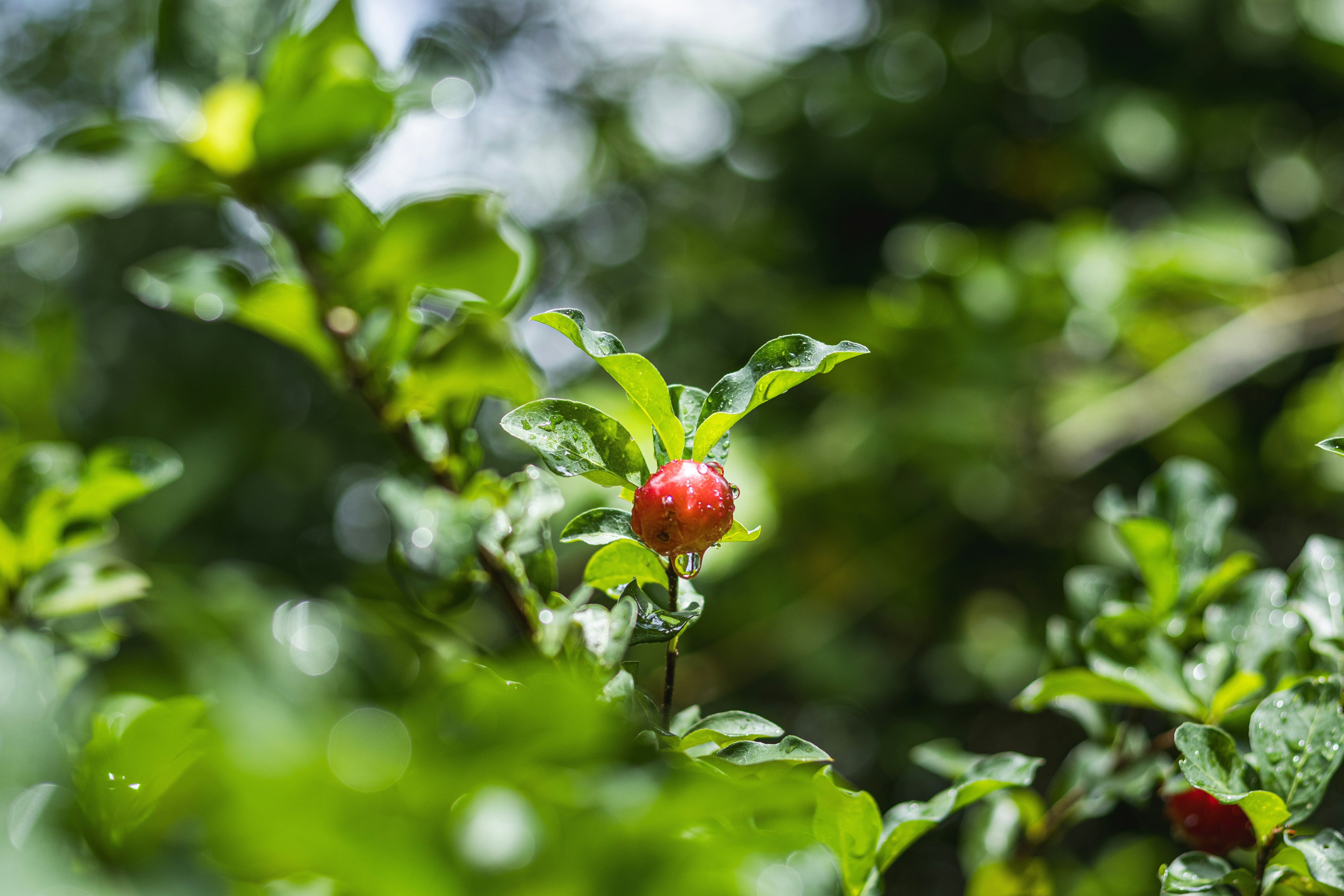 Photo by omarcelandrade