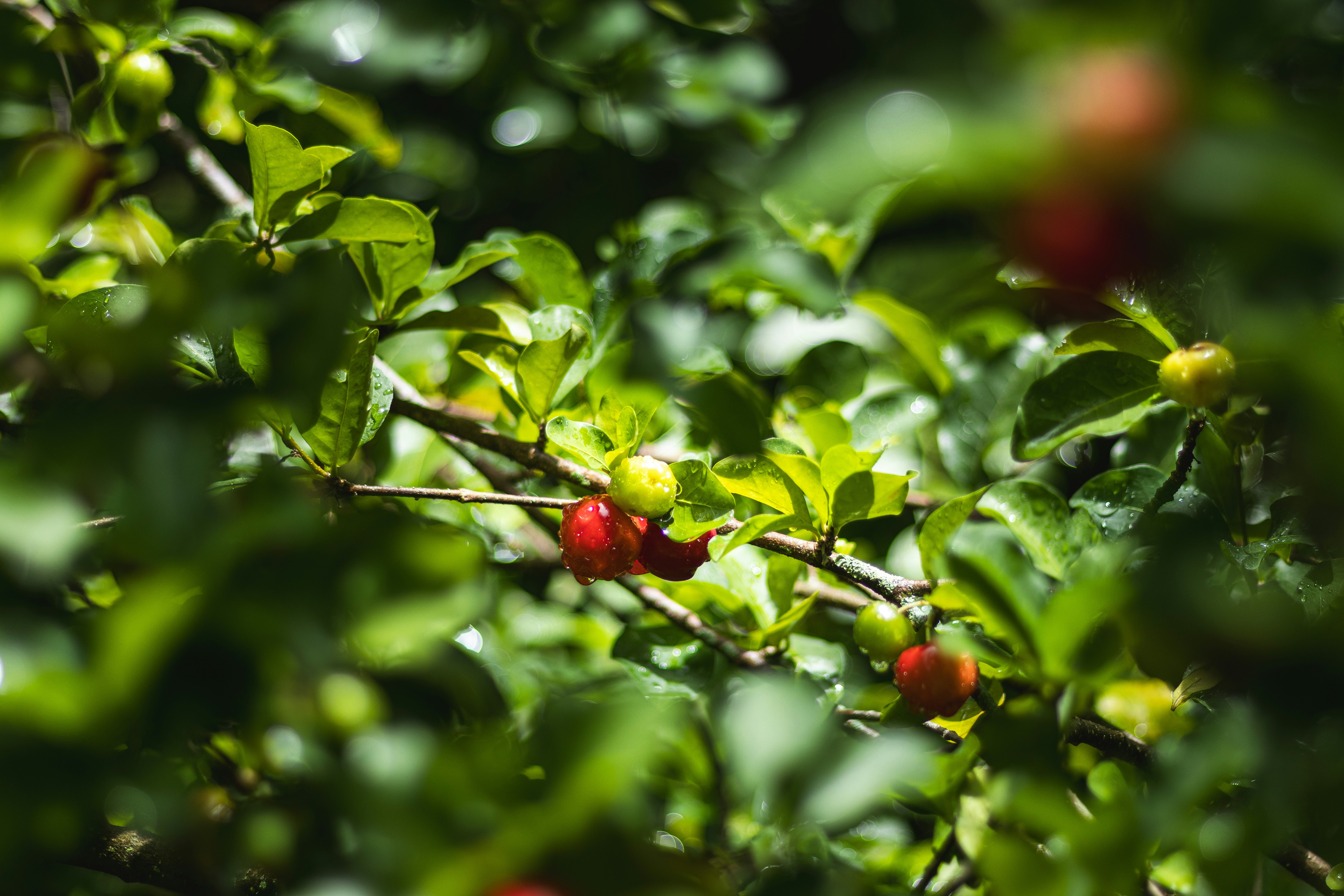 Photo by omarcelandrade