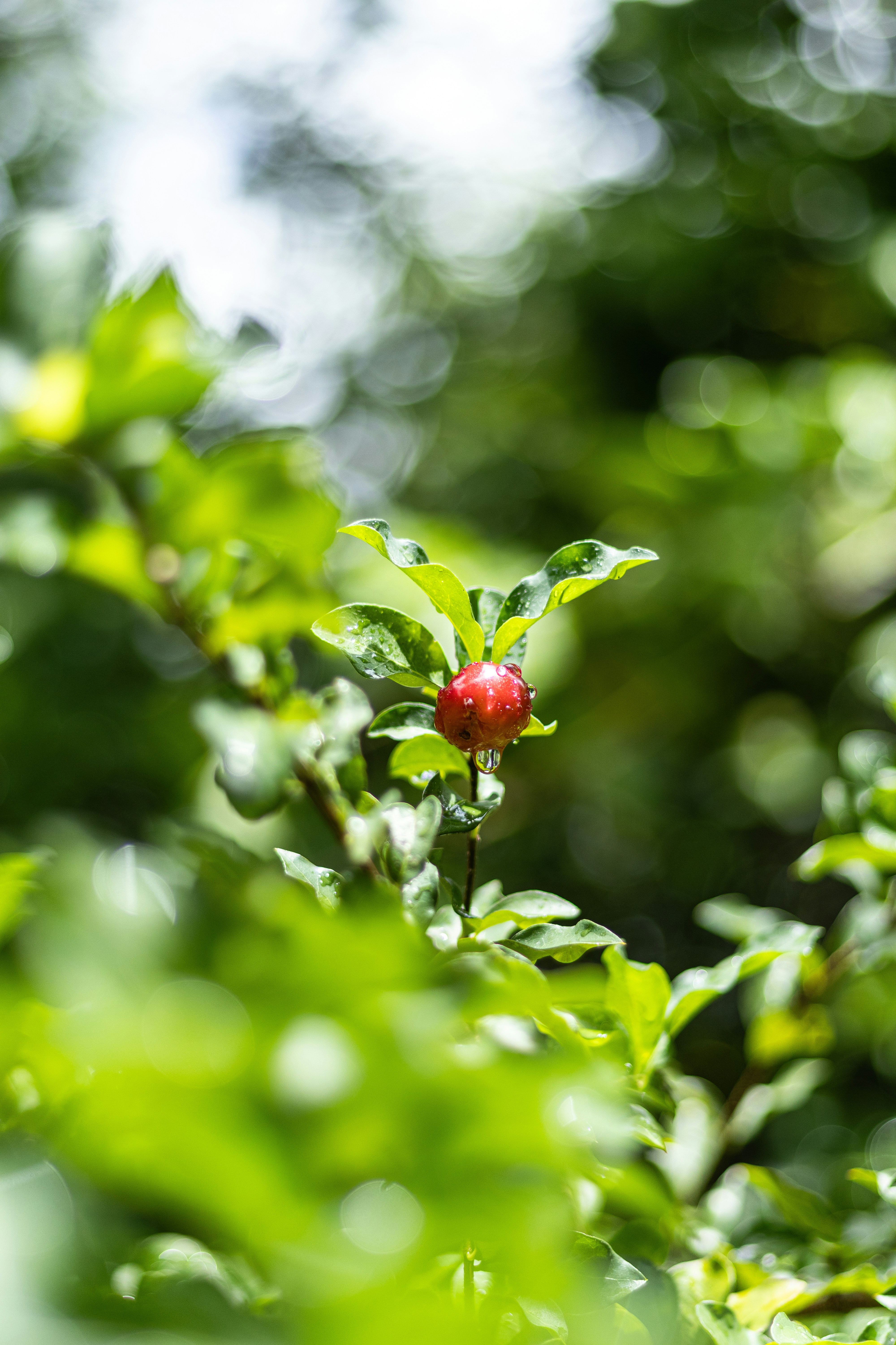 Photo by omarcelandrade