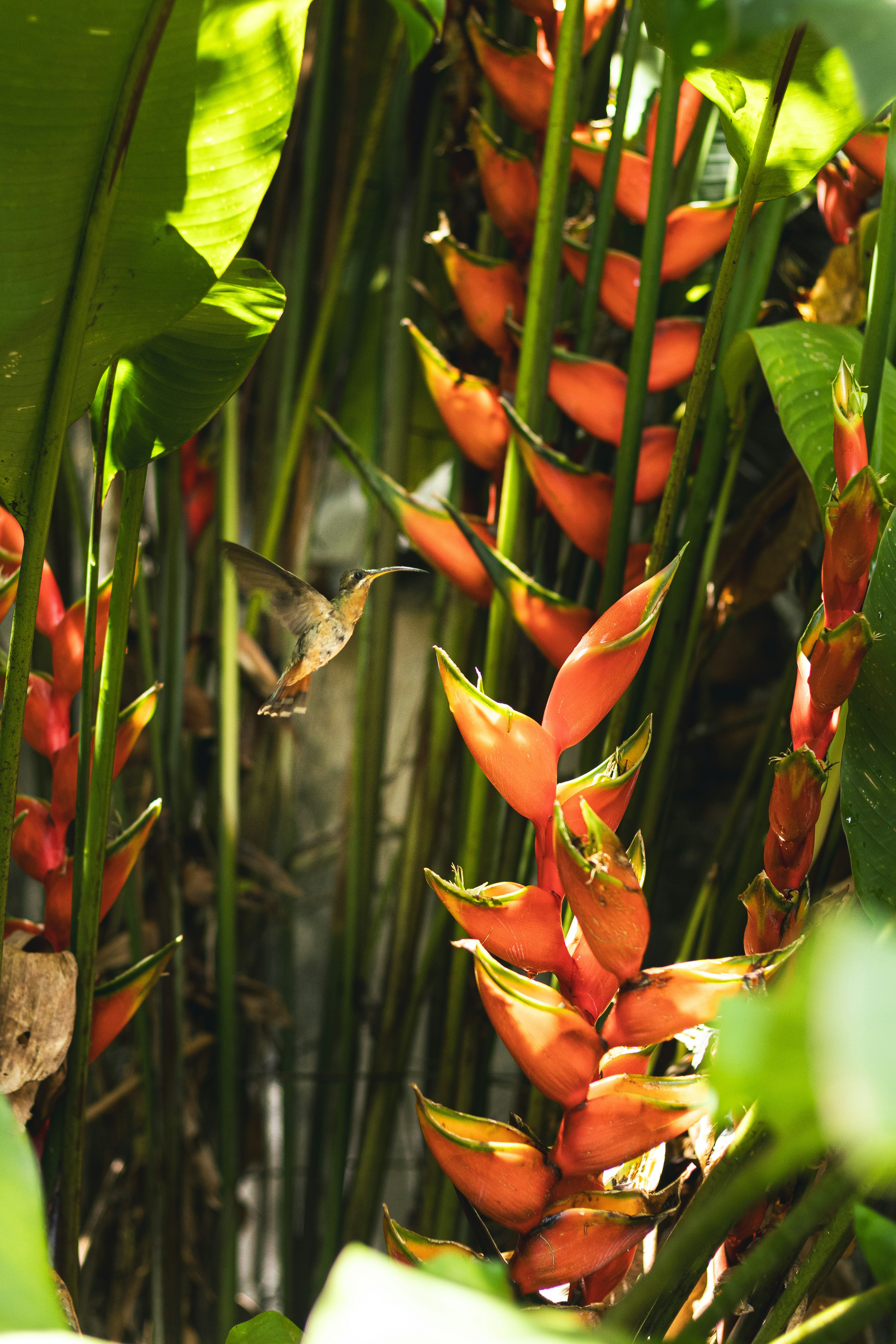 Photo by omarcelandrade