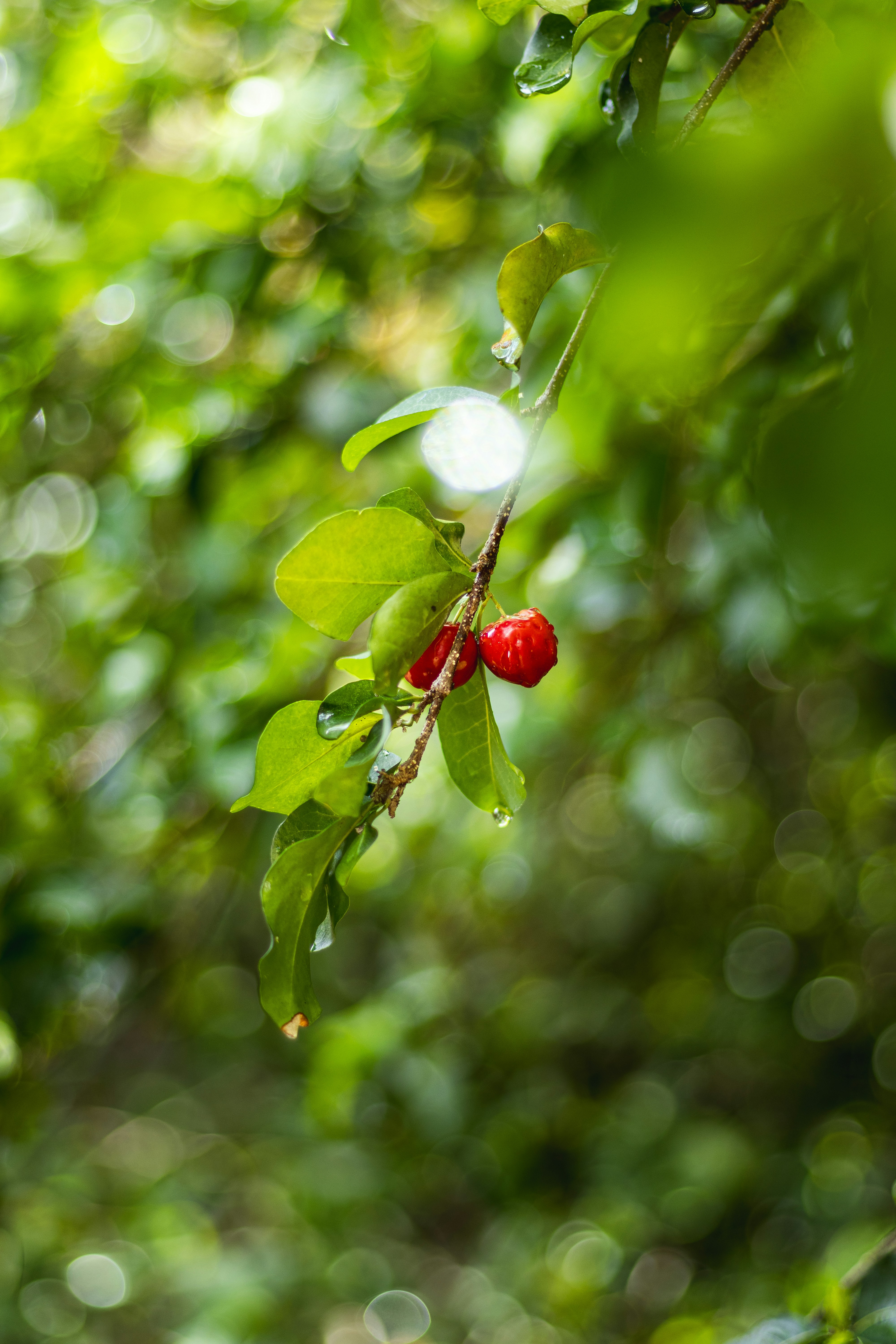 Photo by omarcelandrade