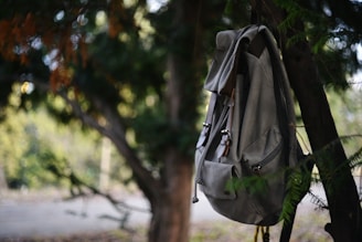 A backpack hanging from a tree in the woods