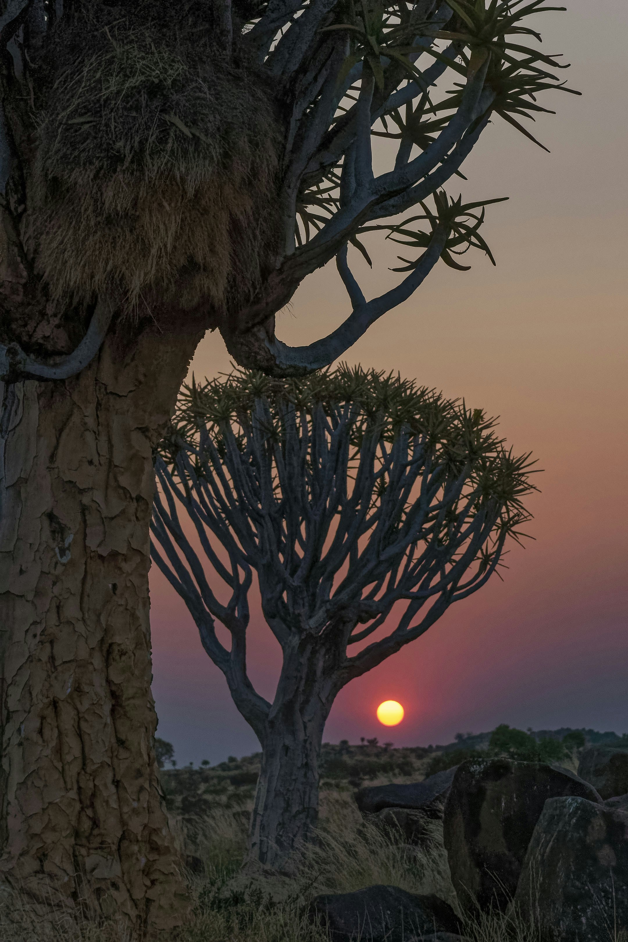 Keetmanshoop – Food & Dining Culture