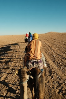 A group of people riding on the back of a camel