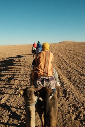 A group of people riding on the back of a camel