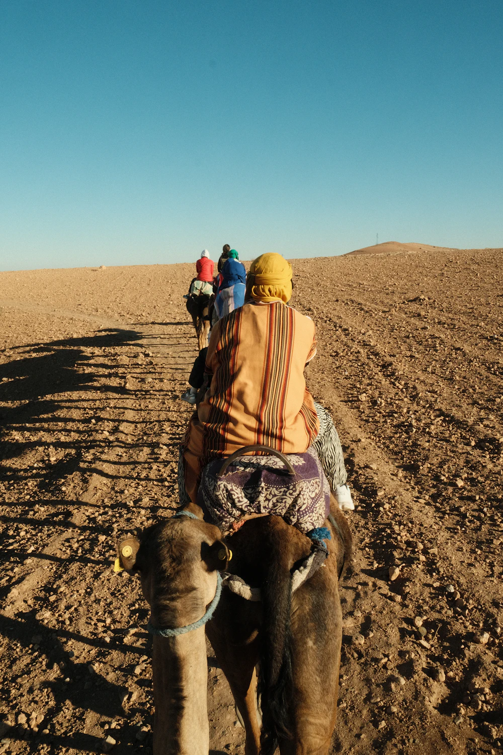 Family riding camels in the desert