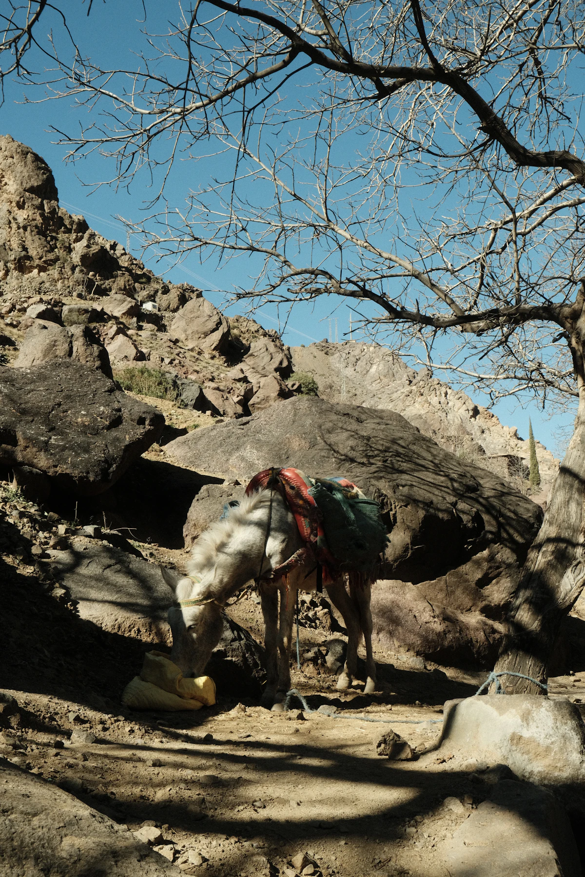 A man with a backpack on a rocky trail in the Imlil Valley, Morocco