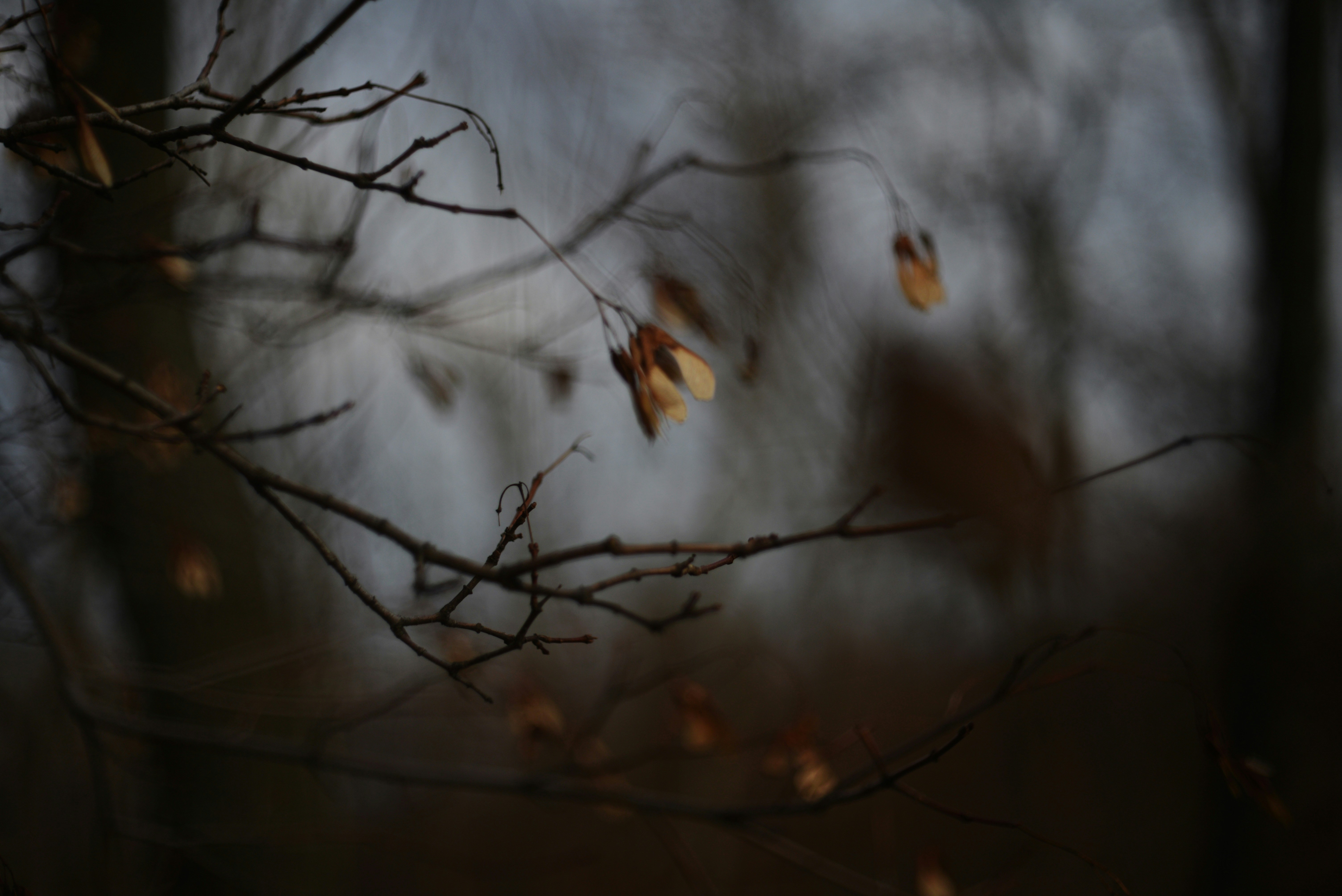 Photo by cherstve_pechivo