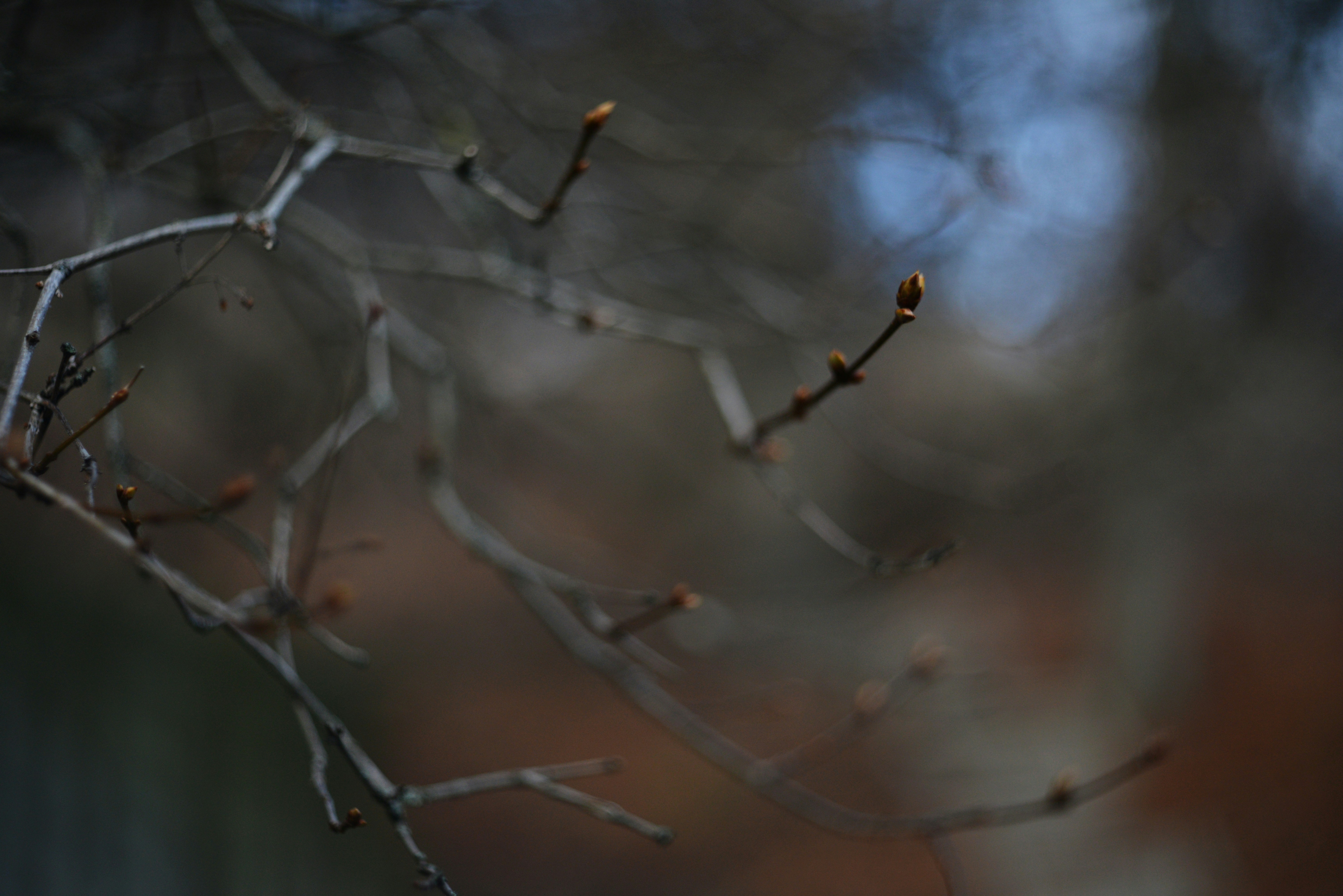 Photo by cherstve_pechivo