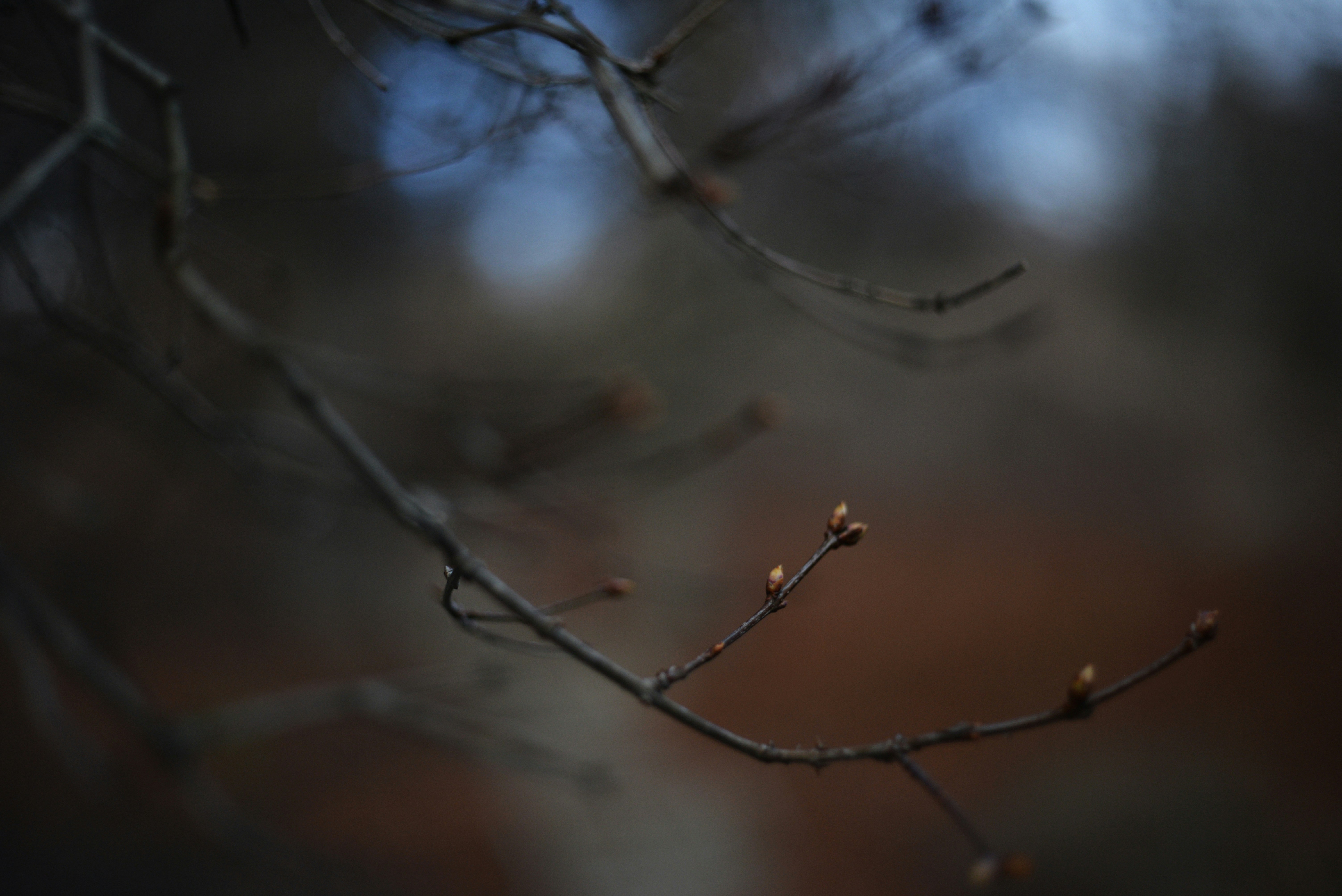 Photo by cherstve_pechivo