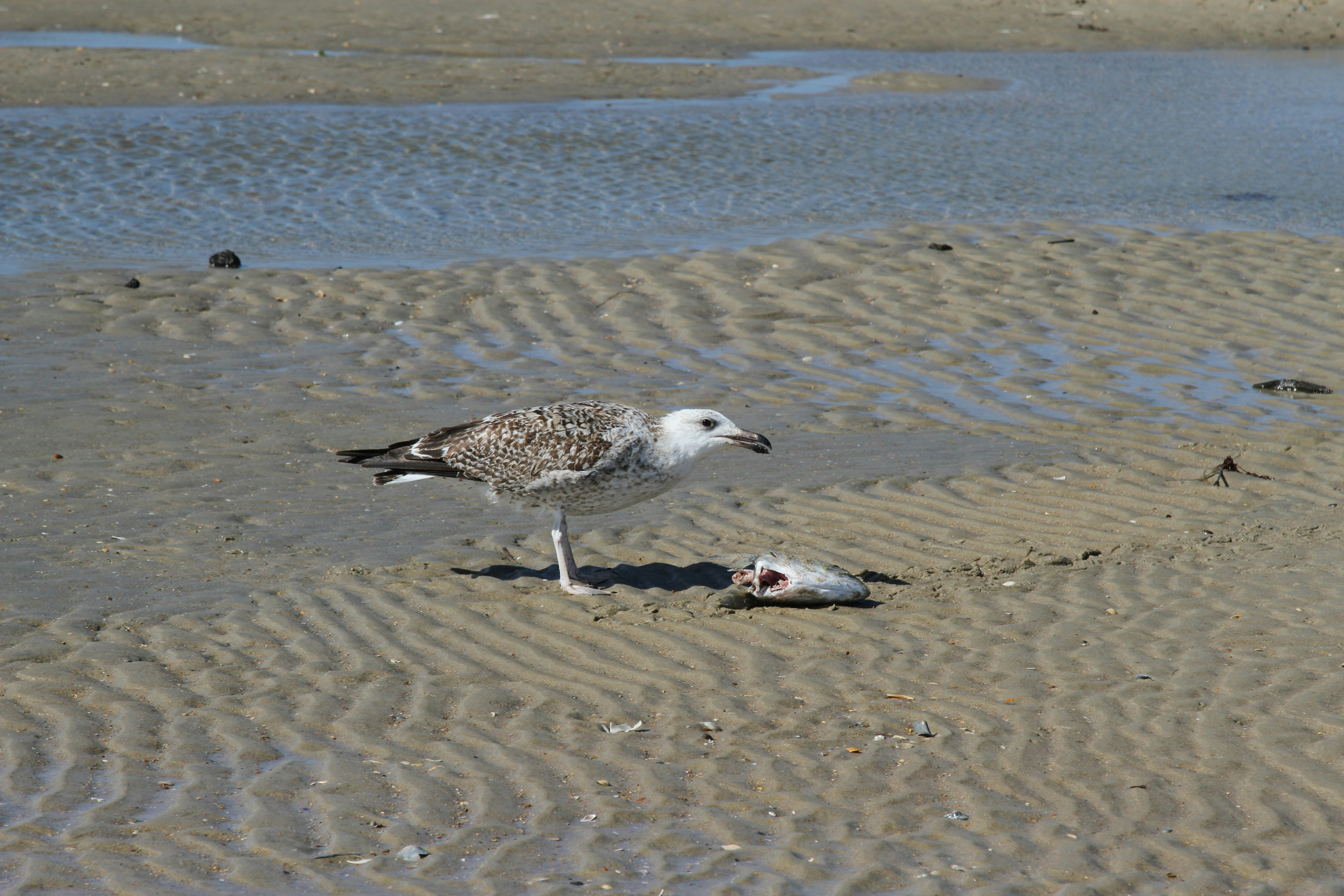 Photo by jcollins_97