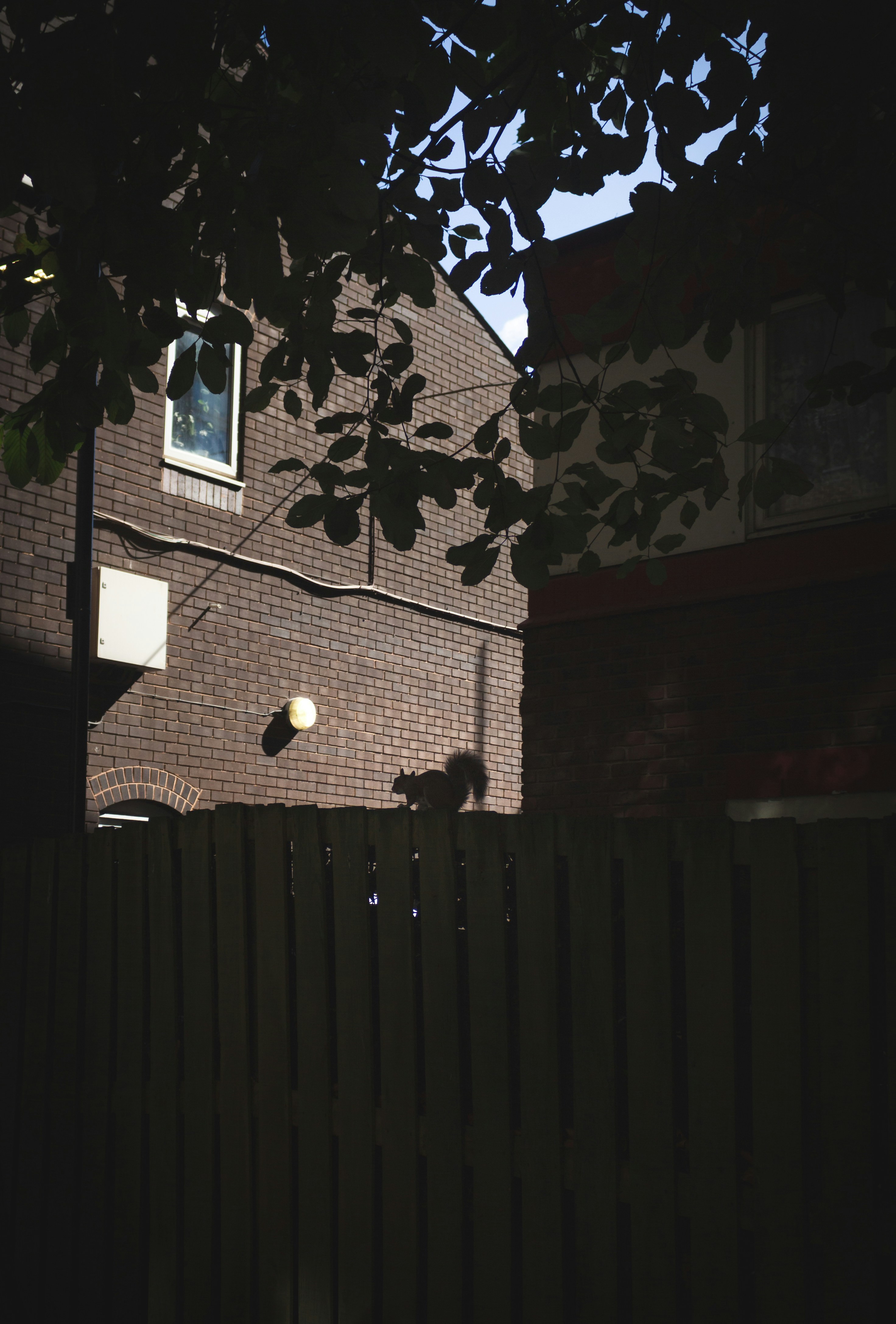 Photo by nathaliarantes