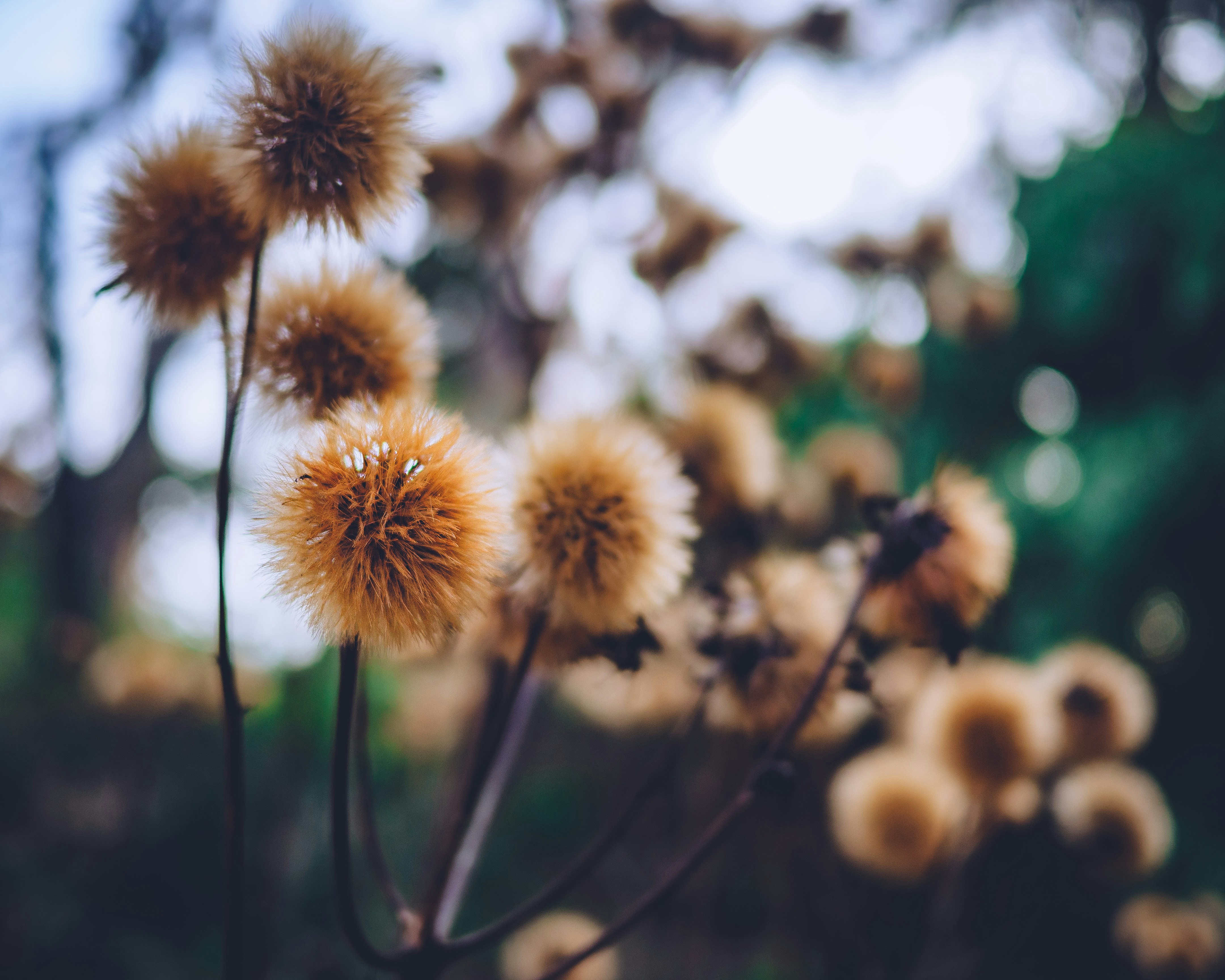 Photo by gabrielmccallin