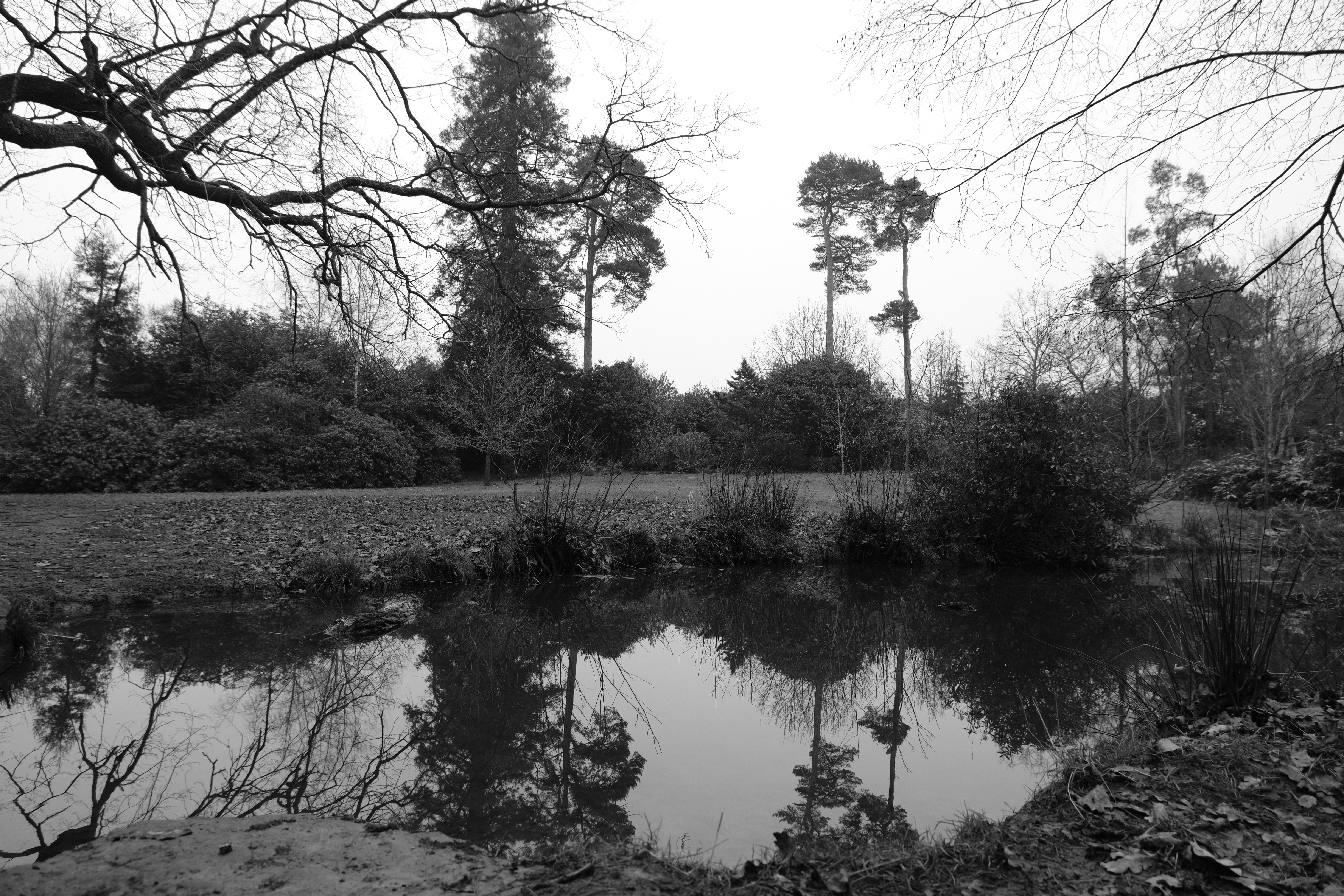 Photo by ashleygorringe