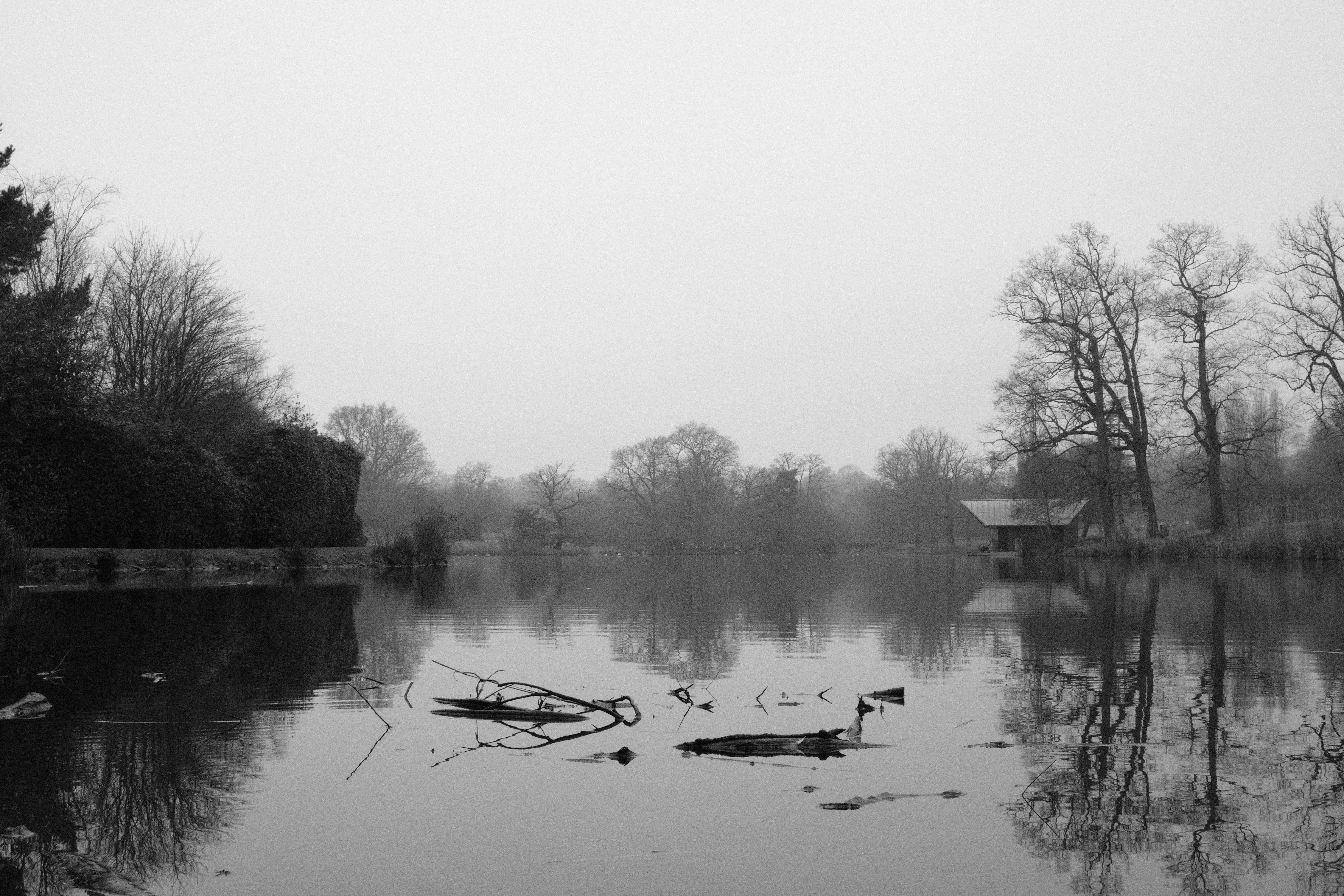 Photo by ashleygorringe