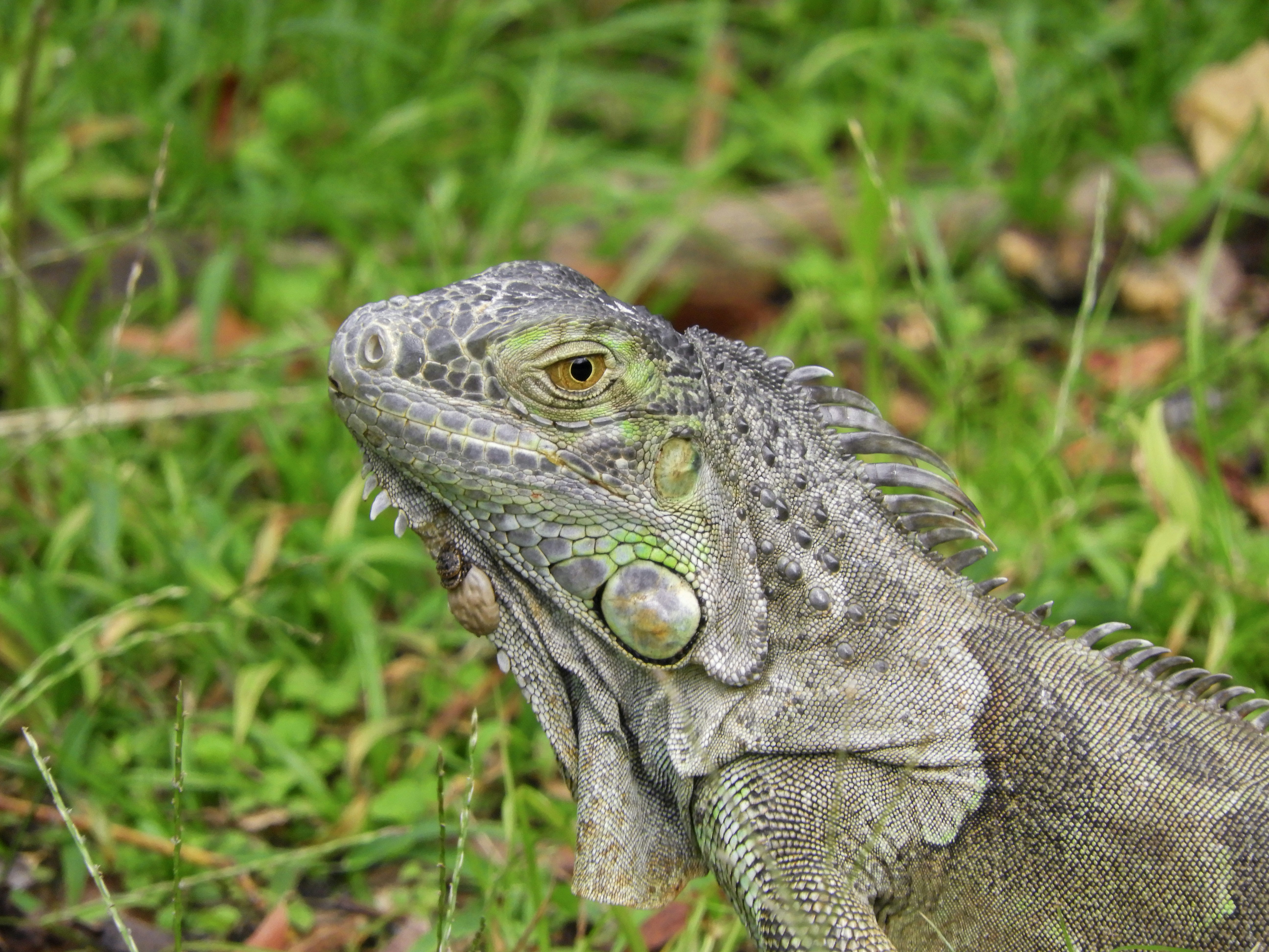 Photo by peterjmarshall