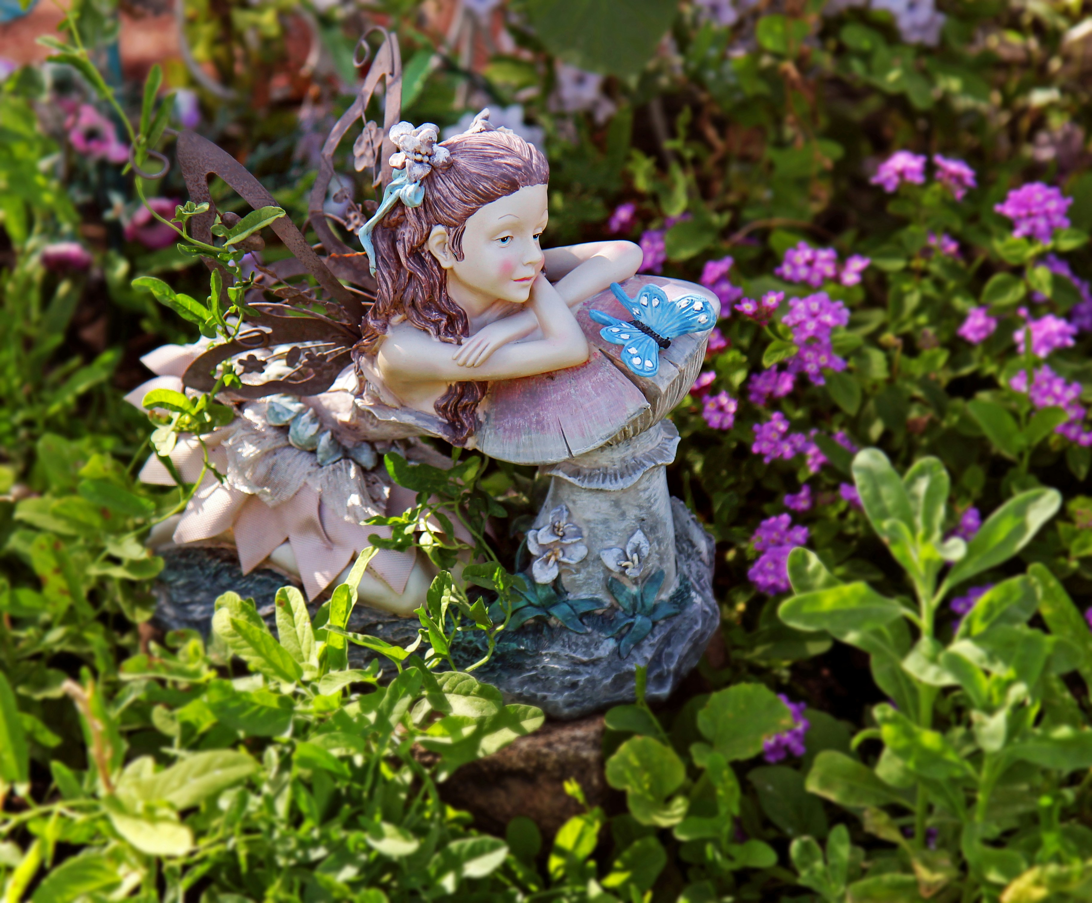 Photo by john_cardamone