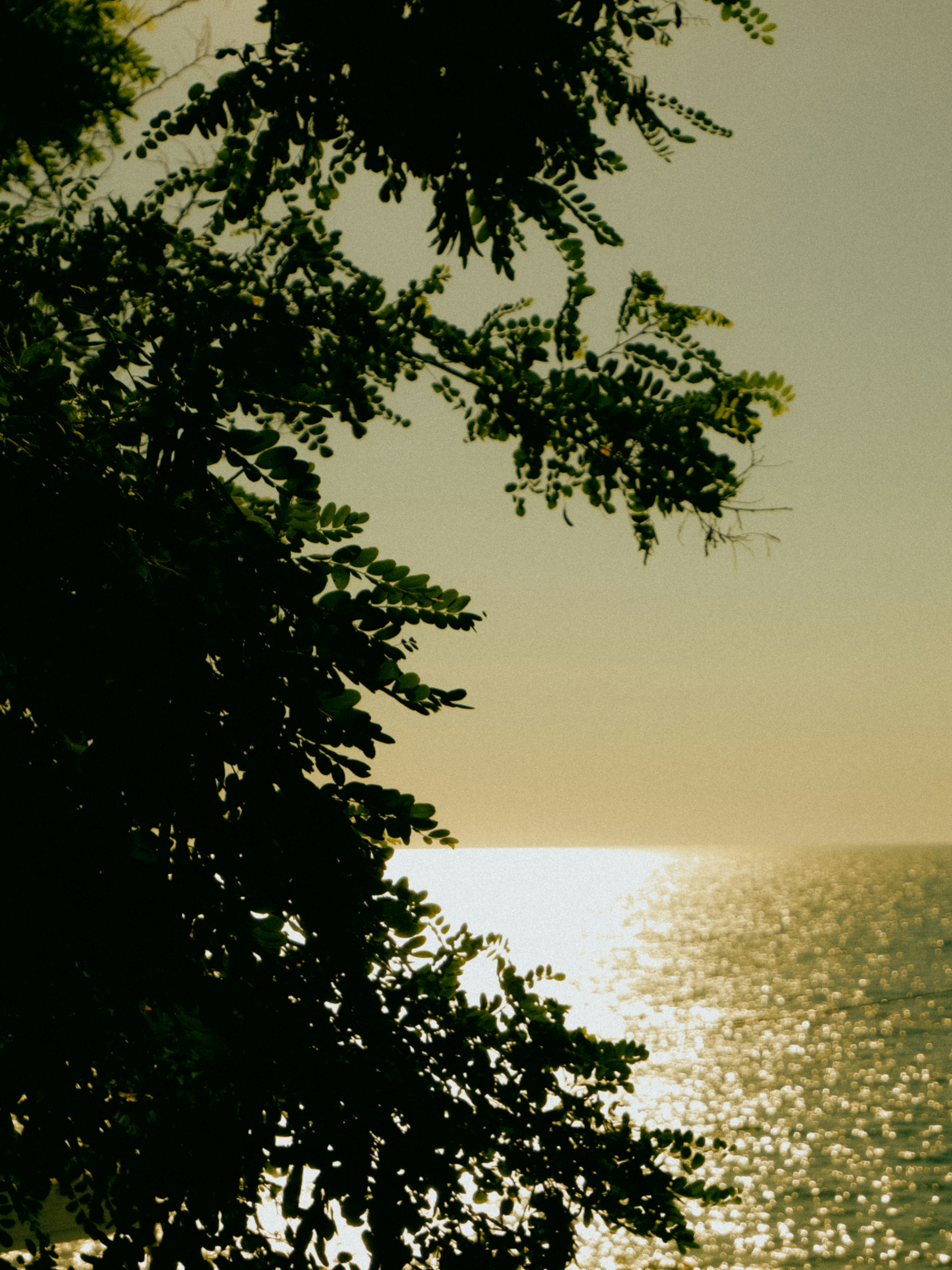 Photo by dmytrobayer